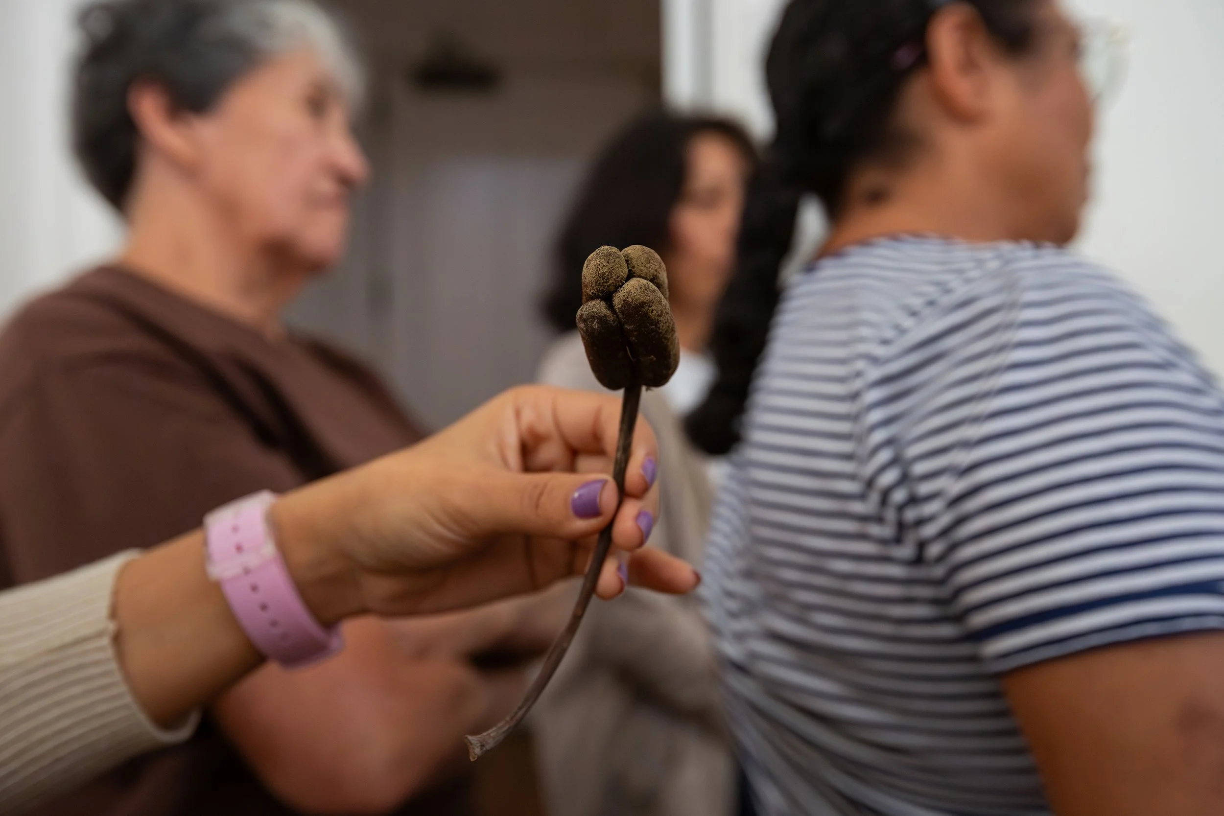 Creando vínculos a través del lente NS-40.jpg