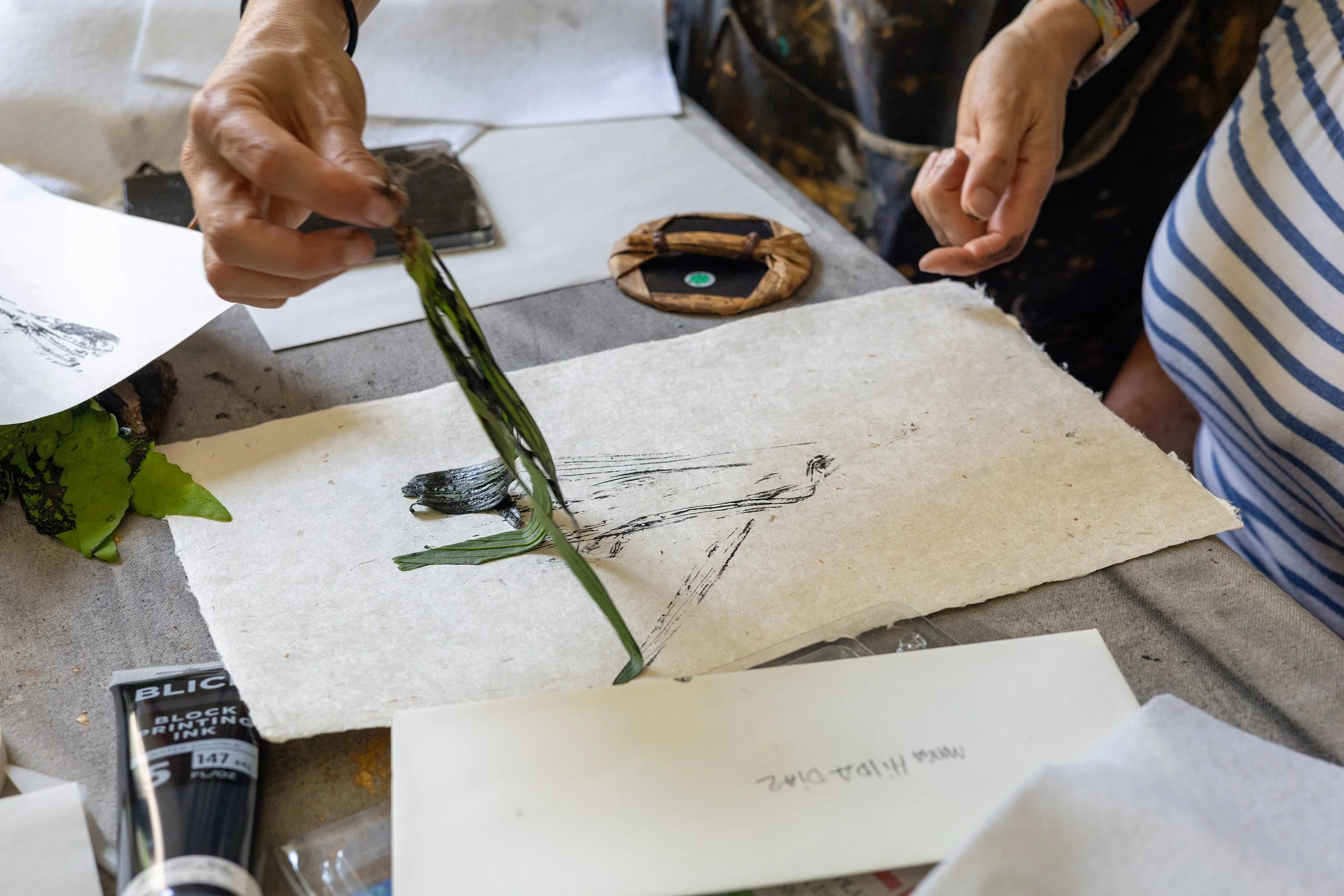 El poder de las plantas, abrazando la tierra-9.jpg