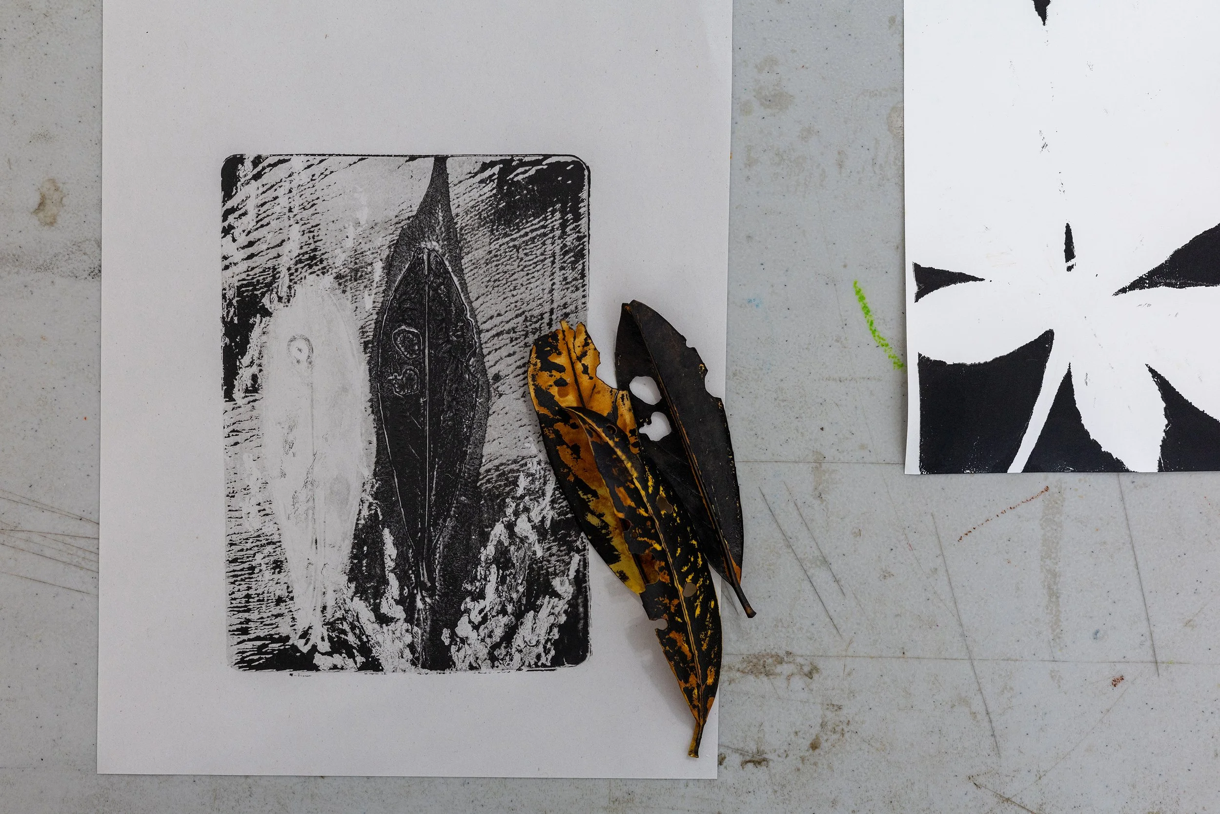 El poder de las plantas, abrazando la tierra-13.jpg