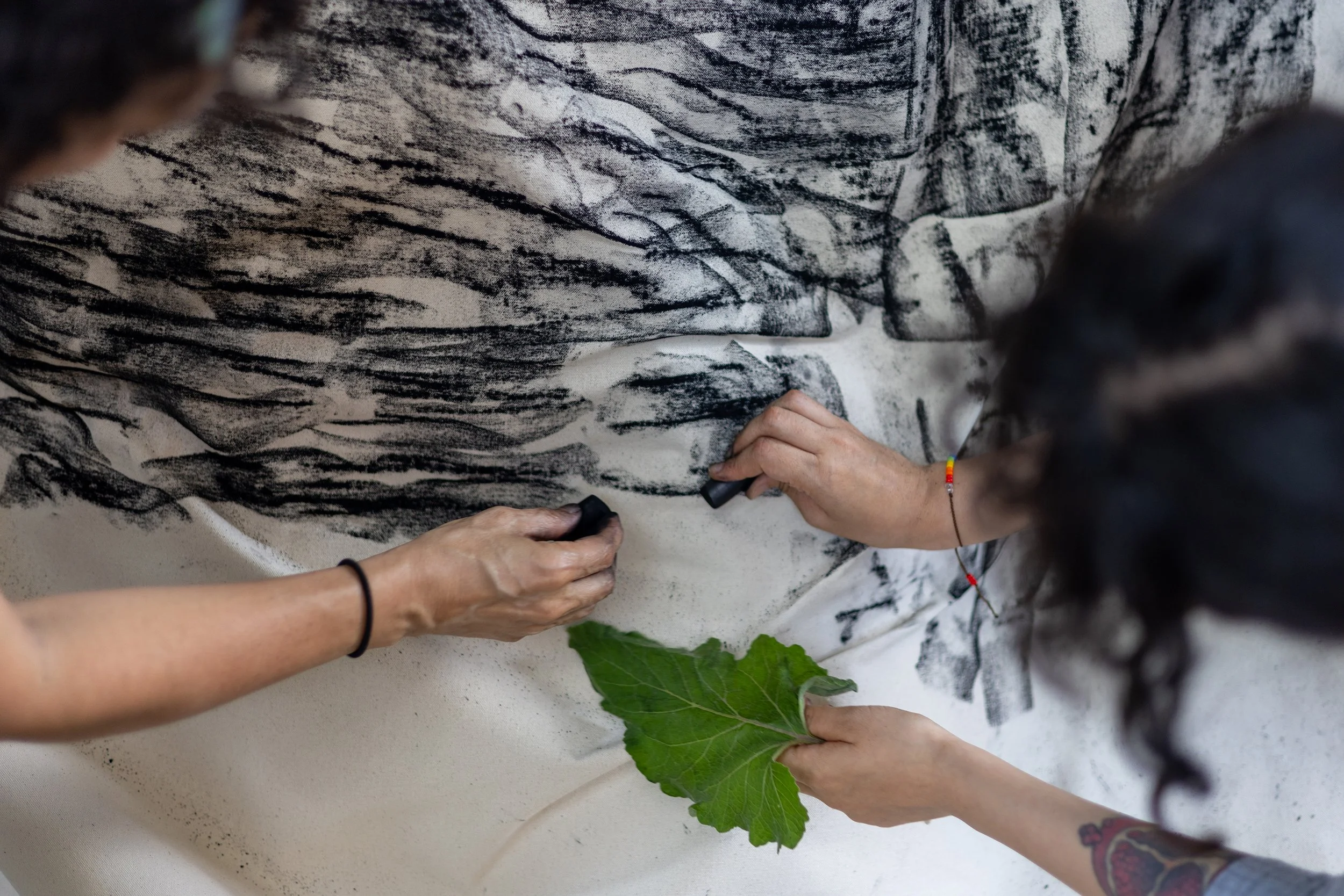 El poder de las plantas, abrazando la tierra-22.jpg
