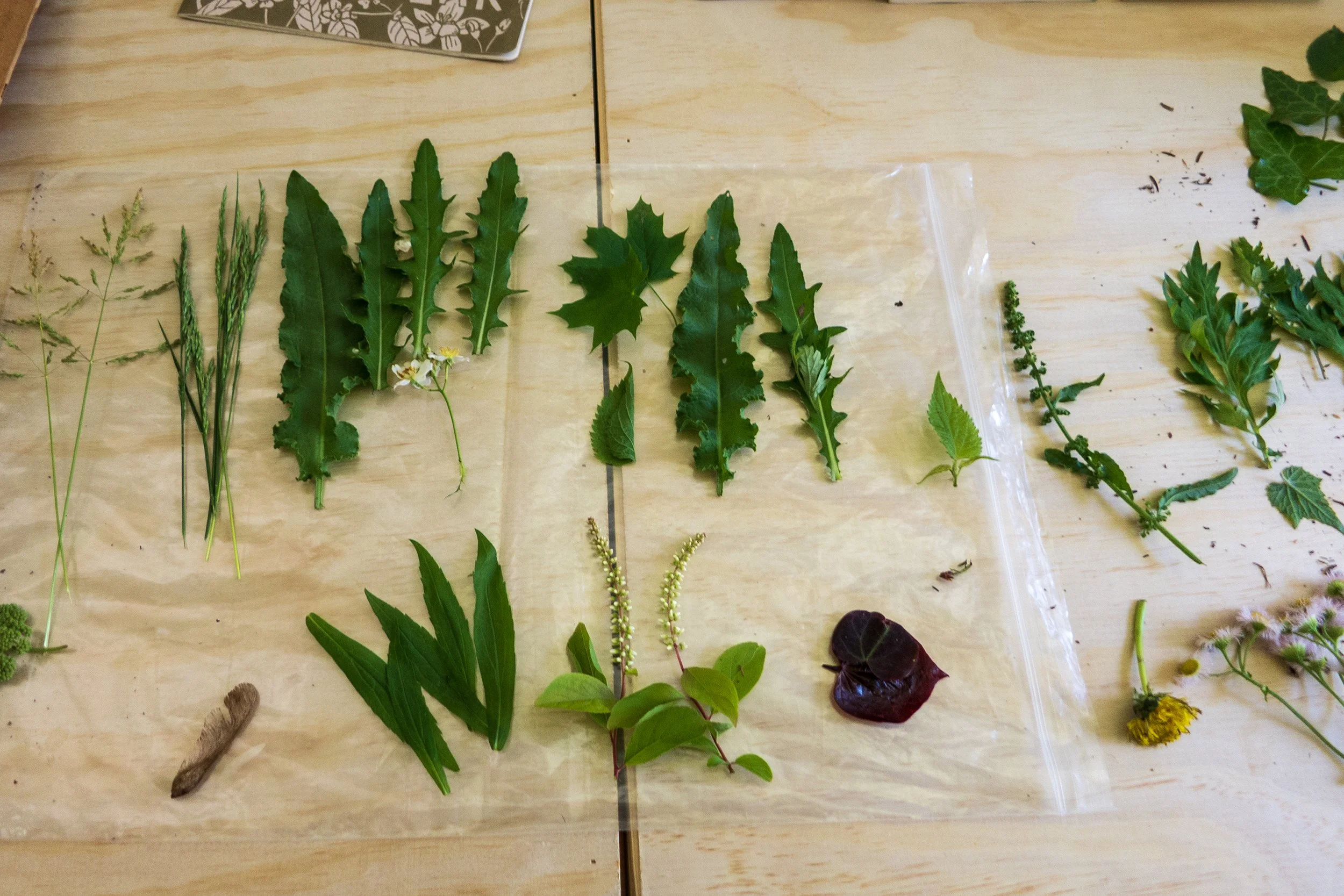 Fluyendo en el espacio con Ginger Blonde_TatianaArocha 003.jpg