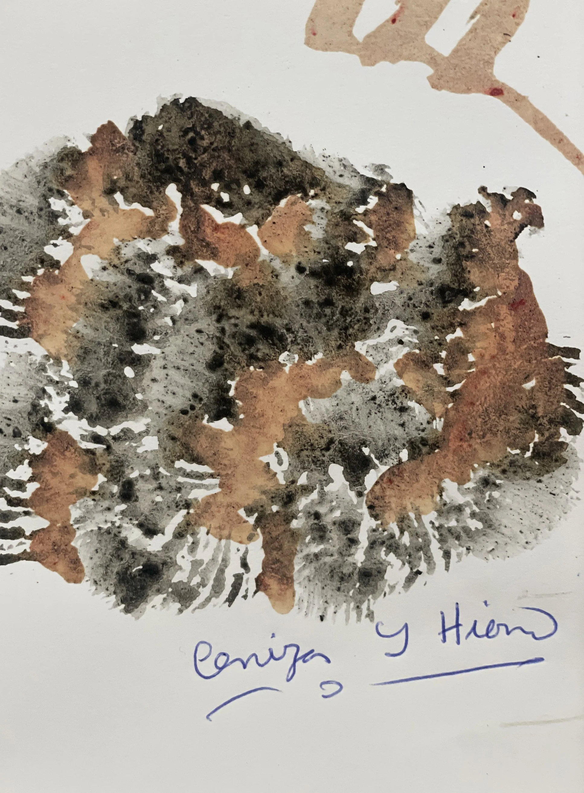 Fluyendo en el espacio con Ginger Blonde_TatianaArocha 031.jpg