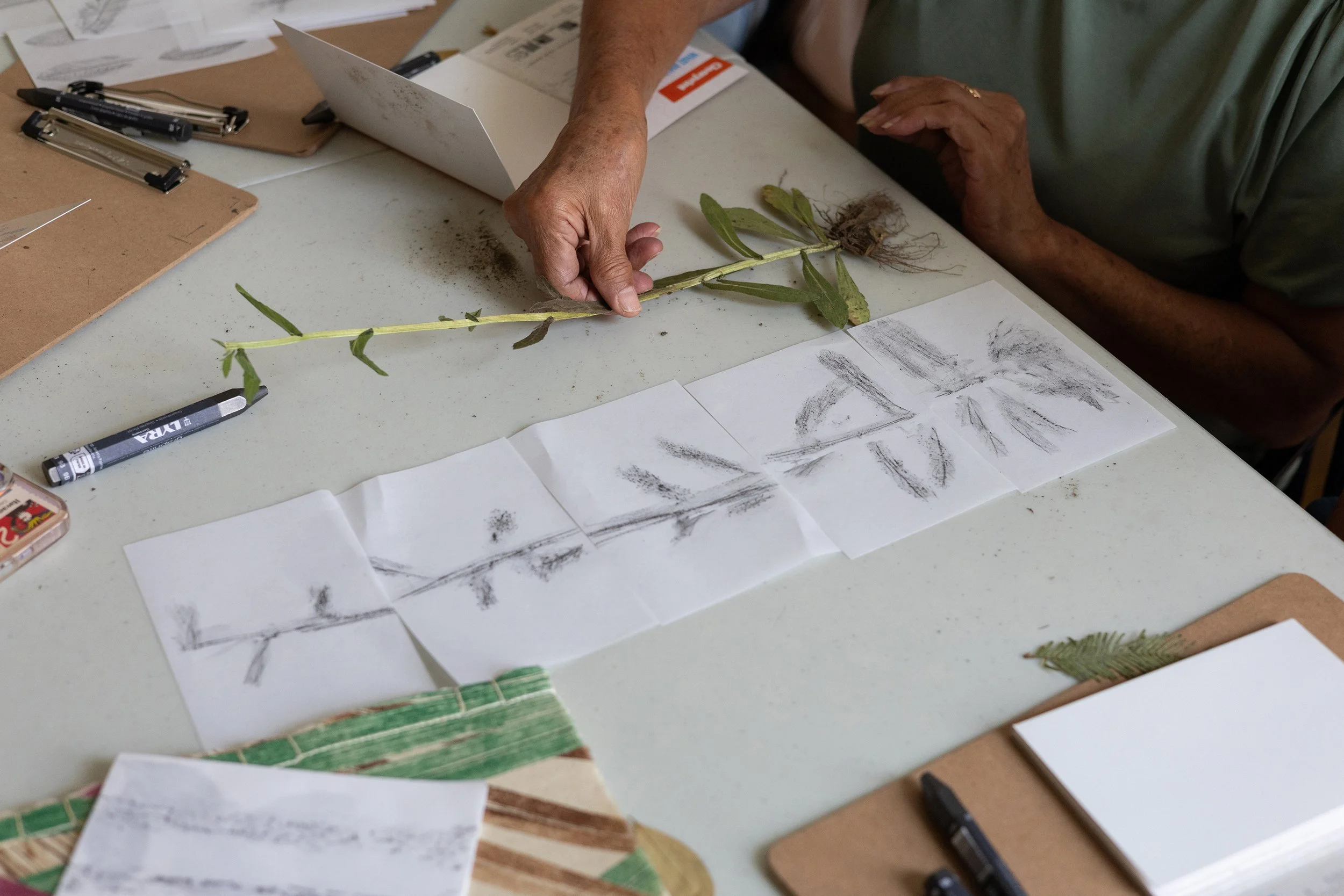 Observando las narrativas terrestres-NS-15.jpg