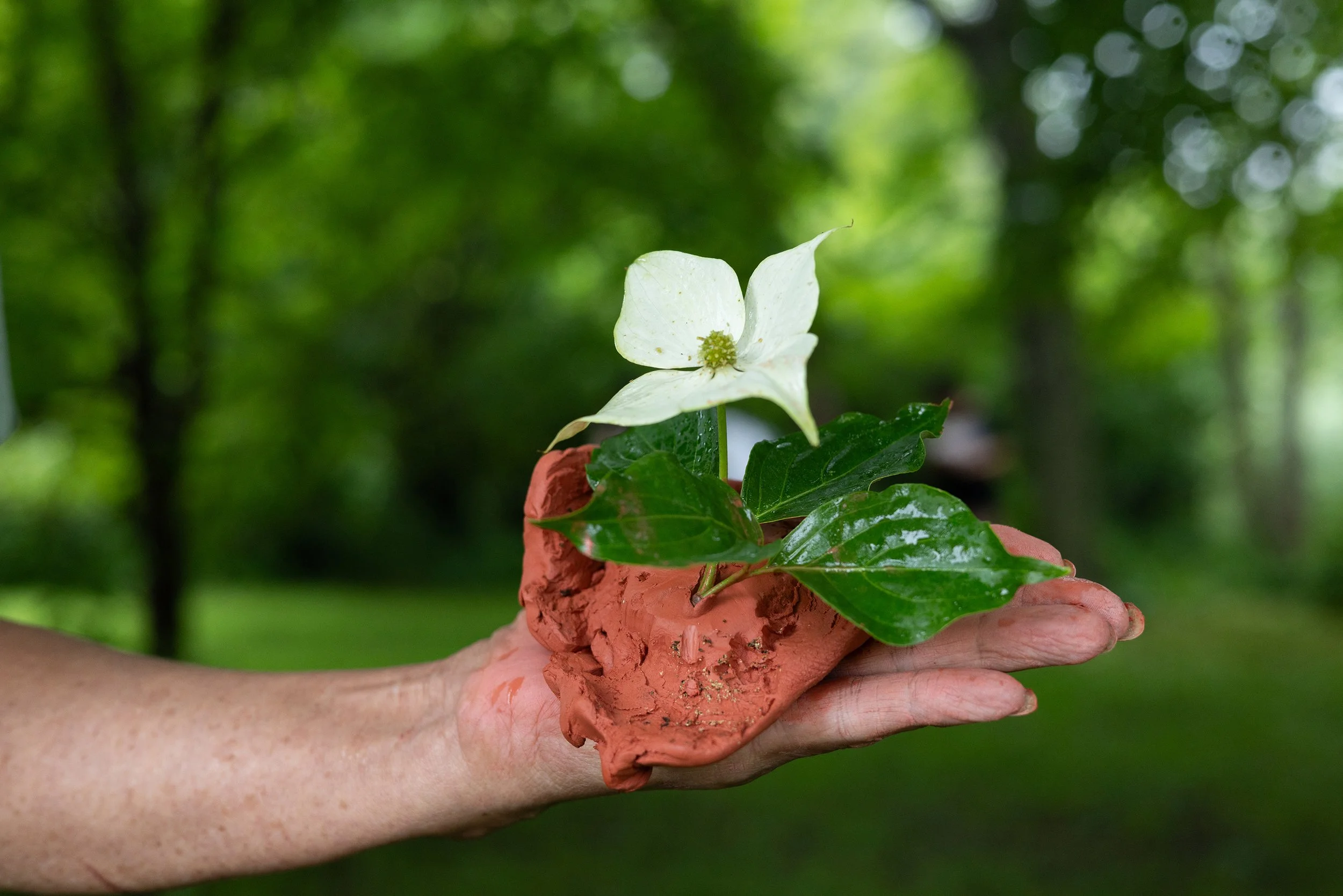 Observando las narrativas terrestres-NS-20.jpg
