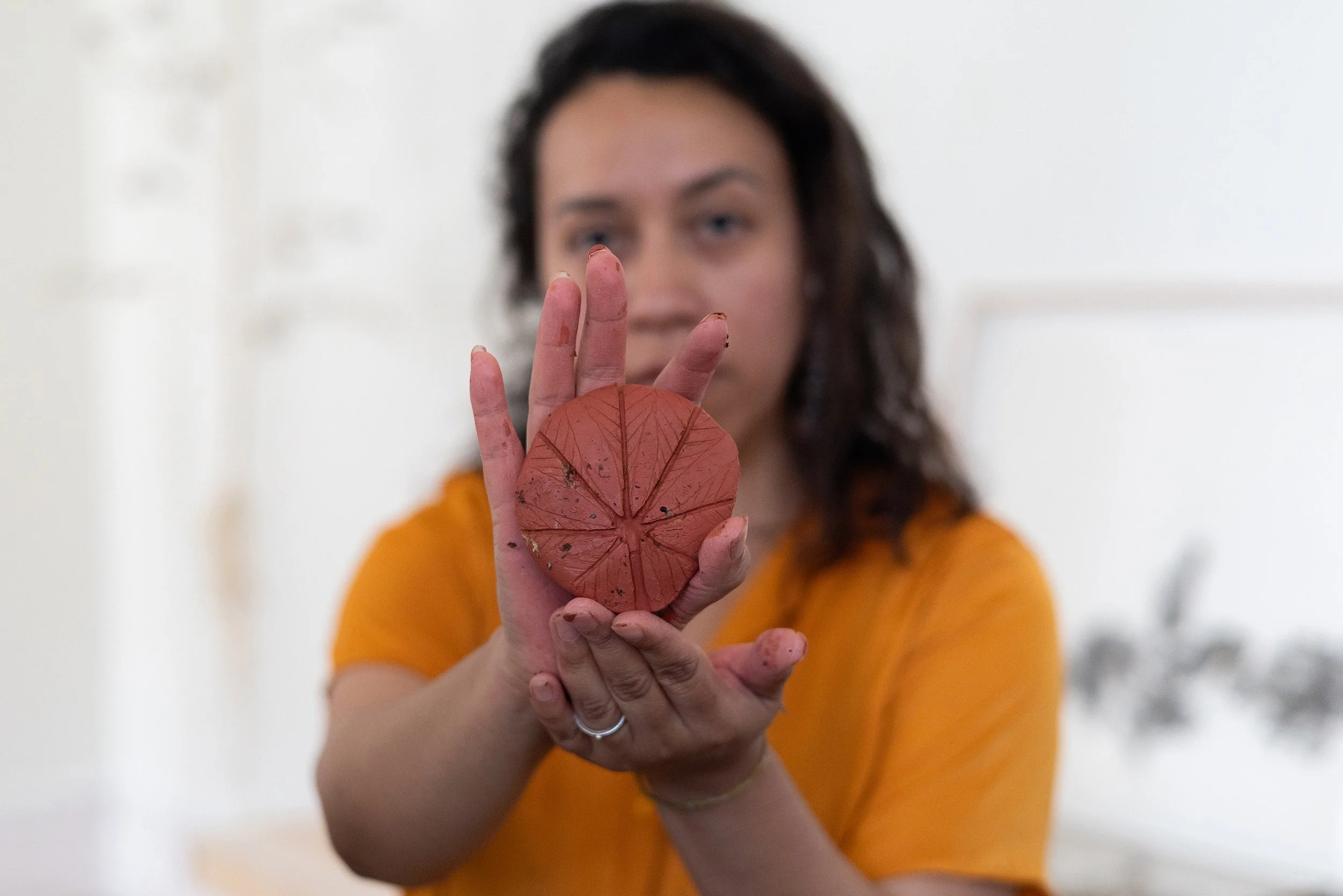 Observando las narrativas terrestres-NS-24.jpg