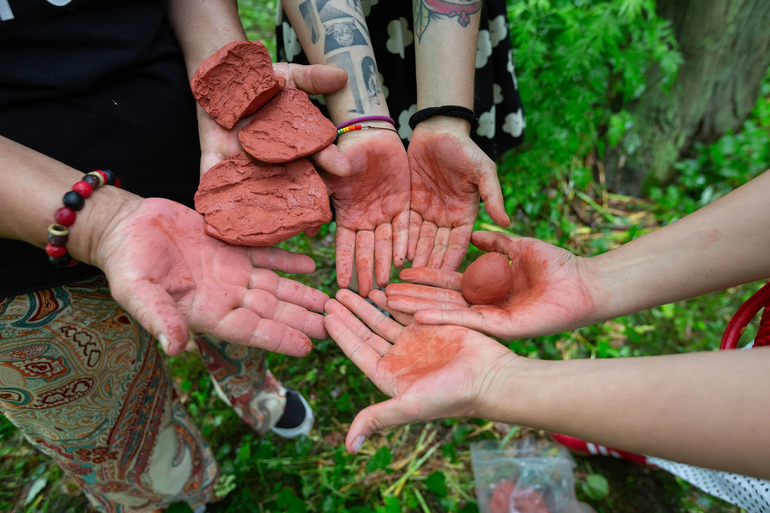 Observando las narrativas terrestres-NS-41.jpg