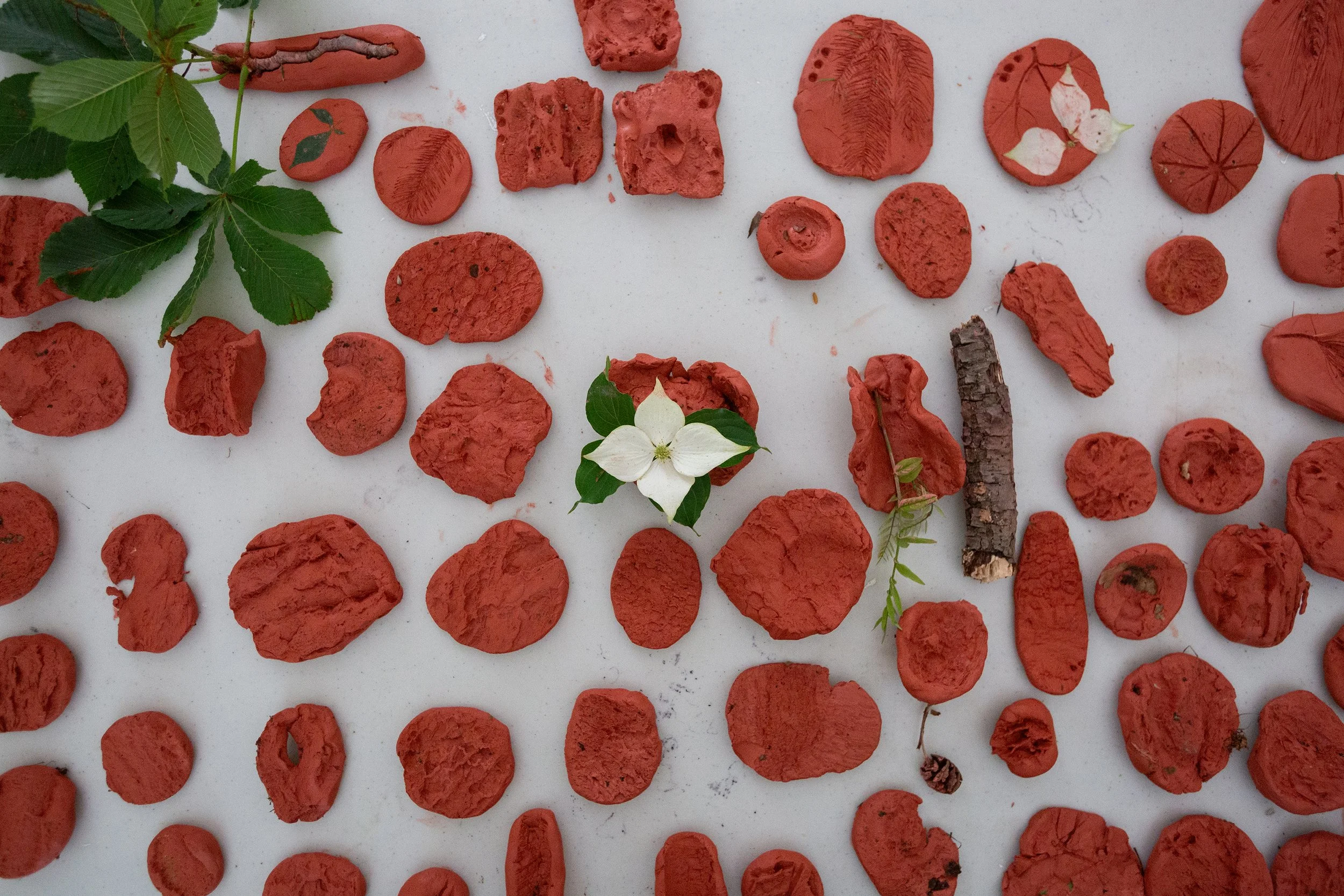 Observando las narrativas terrestres-NS-45.jpg