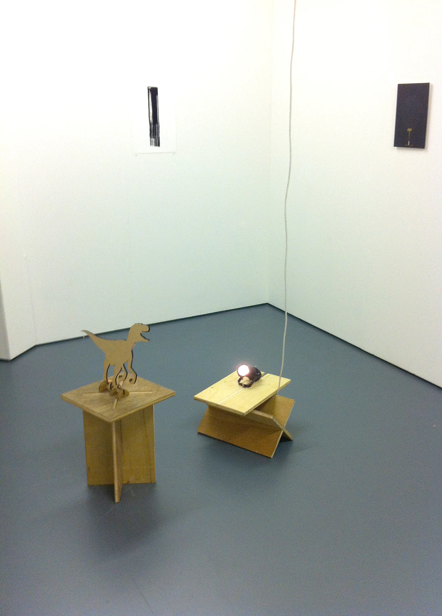 Clever Girl, installation view, Institute of Jamais Vu, London, 2014