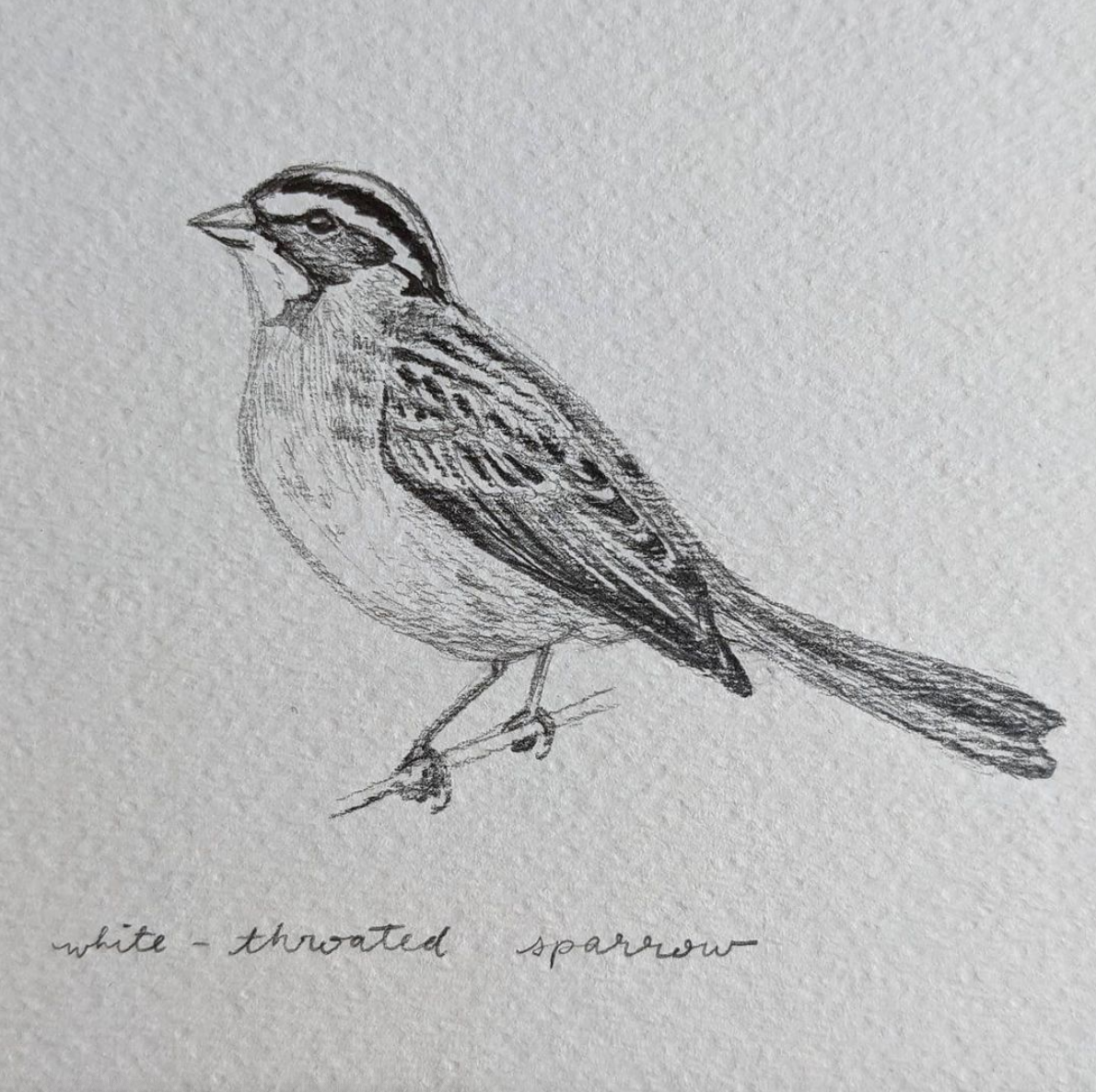 Screen Shot 2021-08-19 at 1.43.19 PM.png