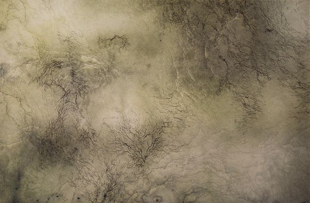 This week is your last chance to experience Kelsey Stephenson’s "Erosion". It's on display until Friday, July 12 at @edmontonchamber - World Trade Centre. Stephenson’s prints use the language of cartography and topography to hand-trace the movement of water. These evocations of spacial, temporal, and narrative shifts can be viewed from 8:30 am - 4:30 pm today and tomorrow. (Image: Light Through Water, Kelsey Stephenson, Etching, digital, chincolle, 2017)
#TheWorksFest #Yegarts #yegartits #prints #art #edmontonart #edmontonartists