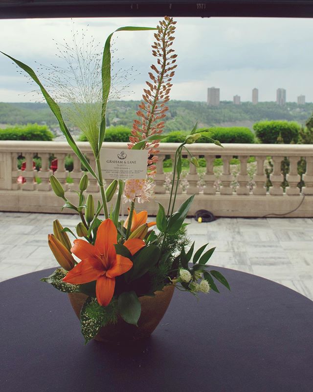 Since it finally feels like summer in Edmonton, we wanted to remember the Summer Solstice Gala!
Even though our June 14th Gala missed out on sunshine, we had gorgeous floral arrangements from @grahamlaneflorists and take-away macrons from @duchessbakeshop to distract us from the clouds gathered around the beautiful, @fairmontmac hotel. (Not to mention the delicious sweets from the culinary team at hotel mac!)