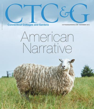 CTCG-Novmeber-2015-Cover-a95367f0.jpeg