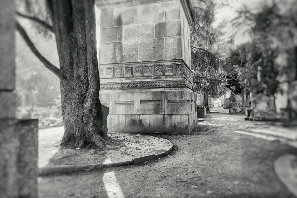 20160319-DSCF4505-Edit.jpg