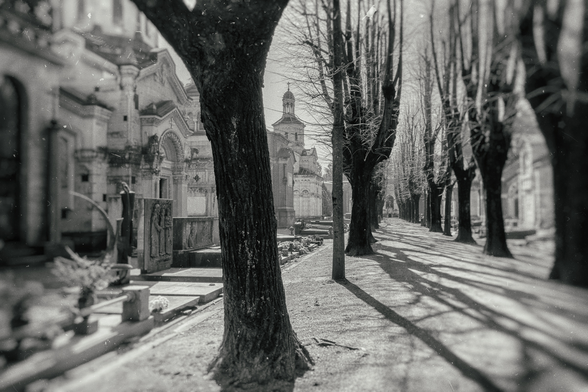 20160319-DSCF4612-Edit.jpg