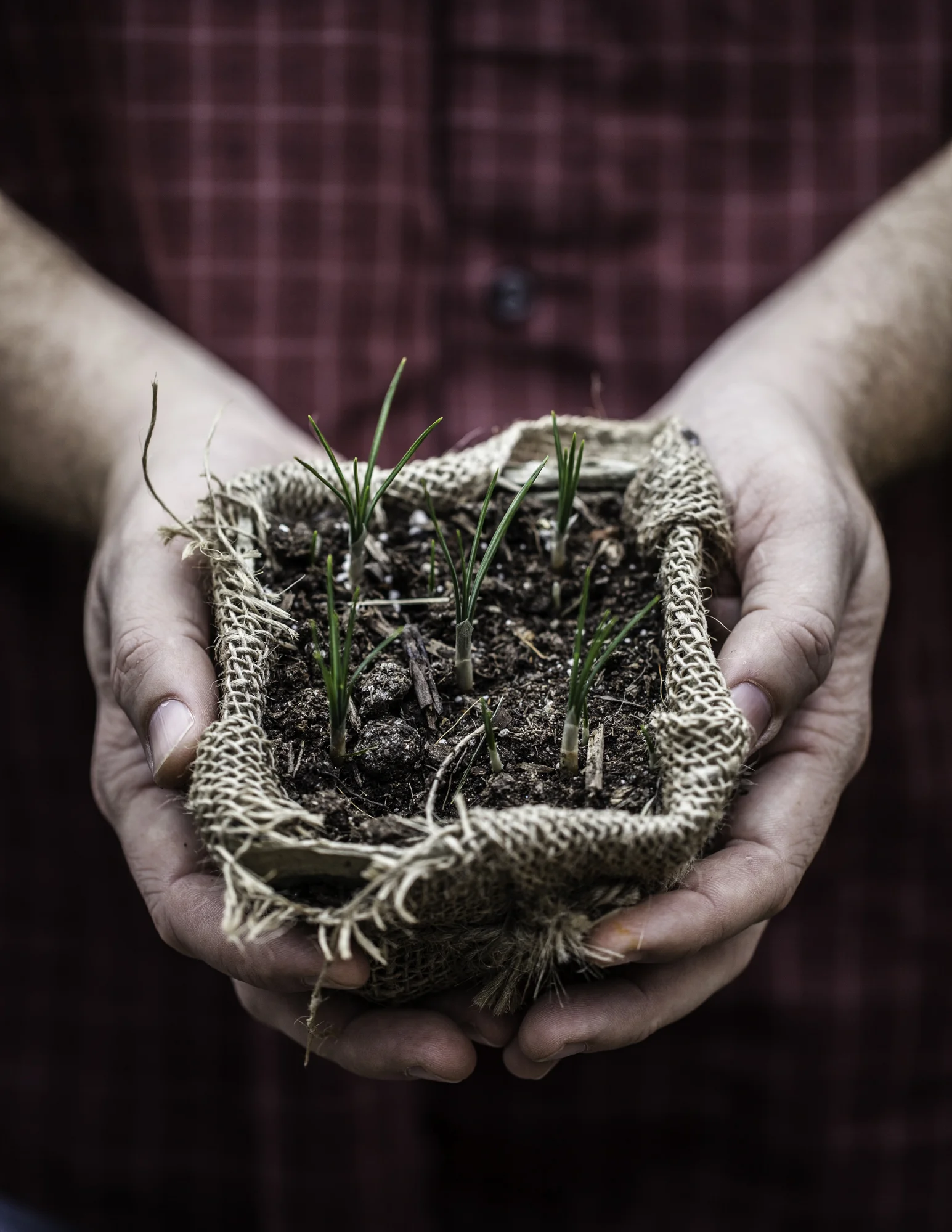 am2013032_EdiblePhilly-18.jpg