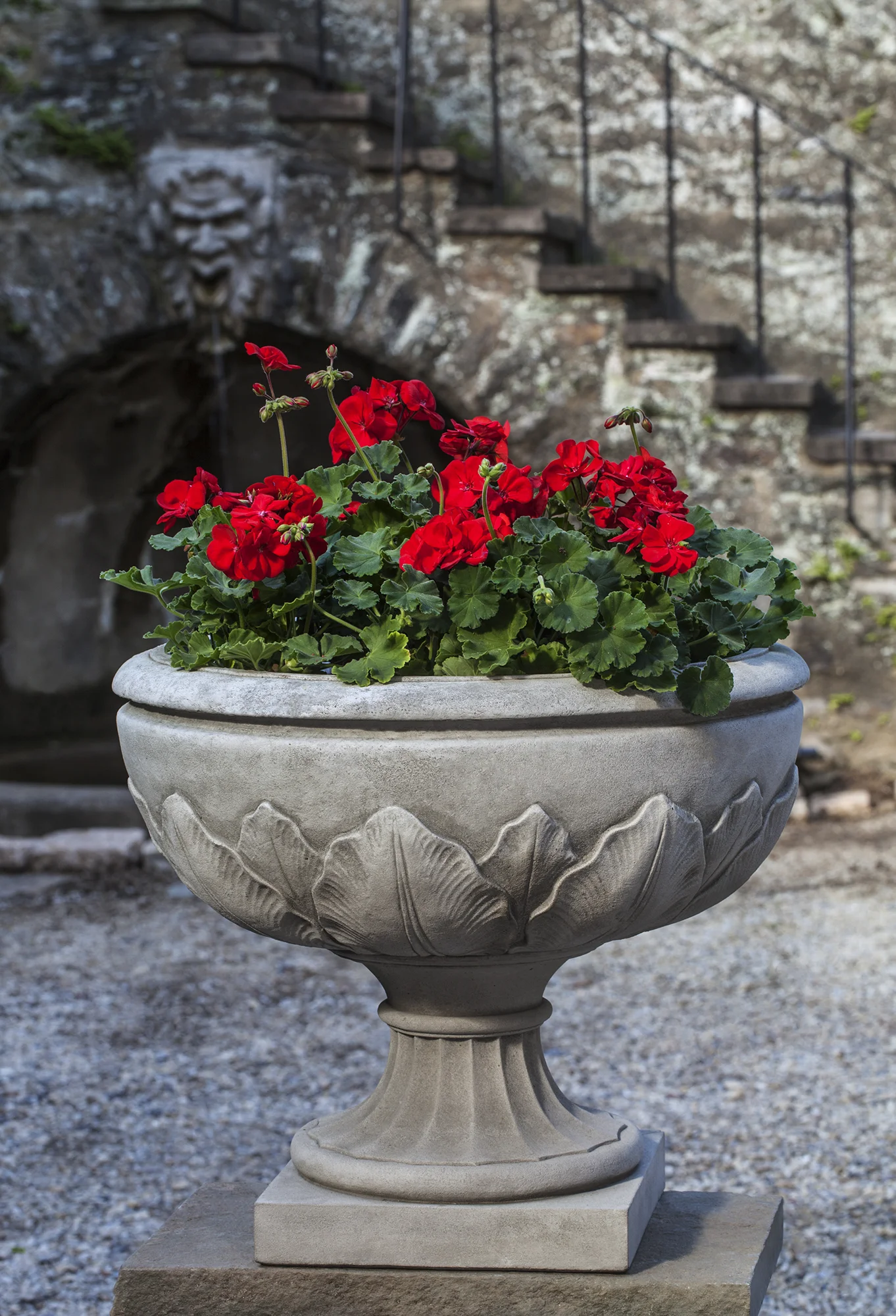 am2014020_Campania-52.jpg