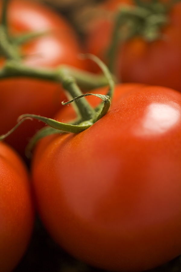 tomato.jpg