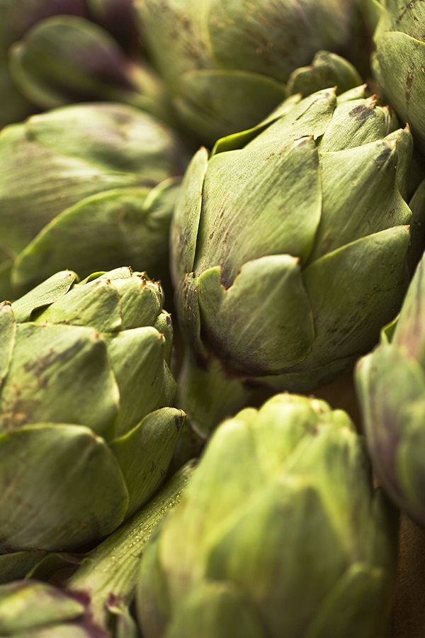 Artichoke.jpg