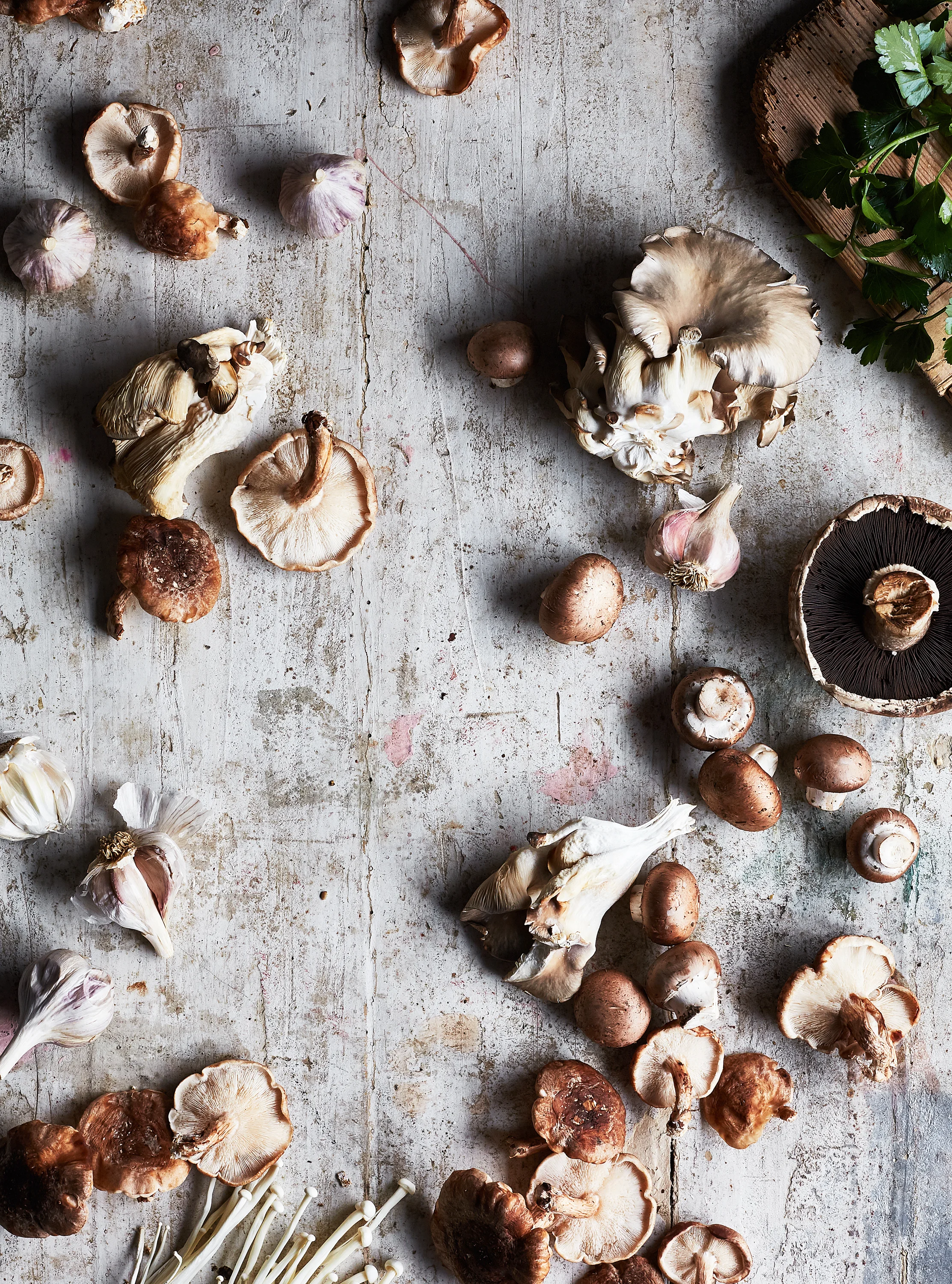 JR_am_Mushrooms04_03052019.jpg