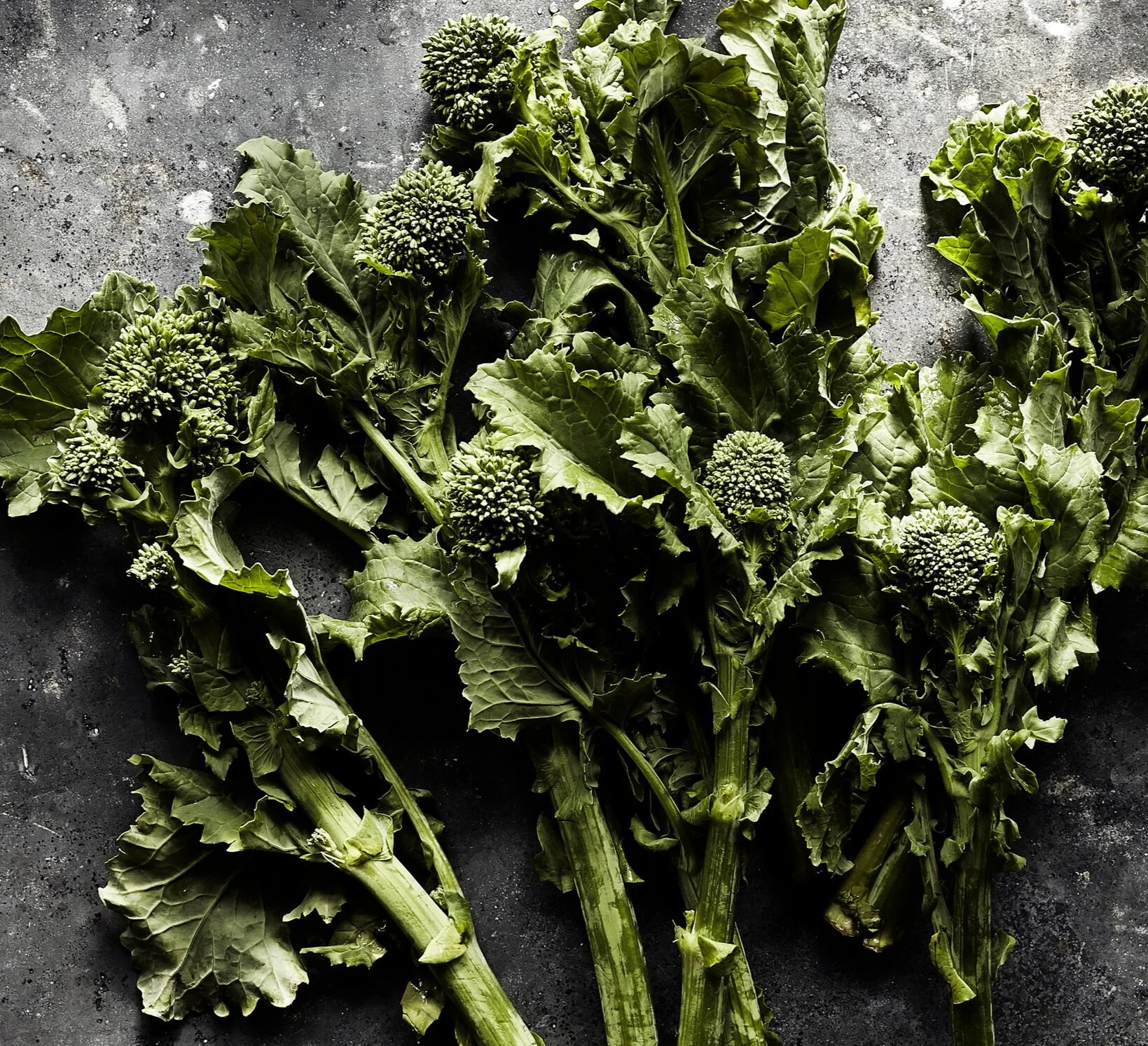 JR_am_Broccolini_03052019.jpg