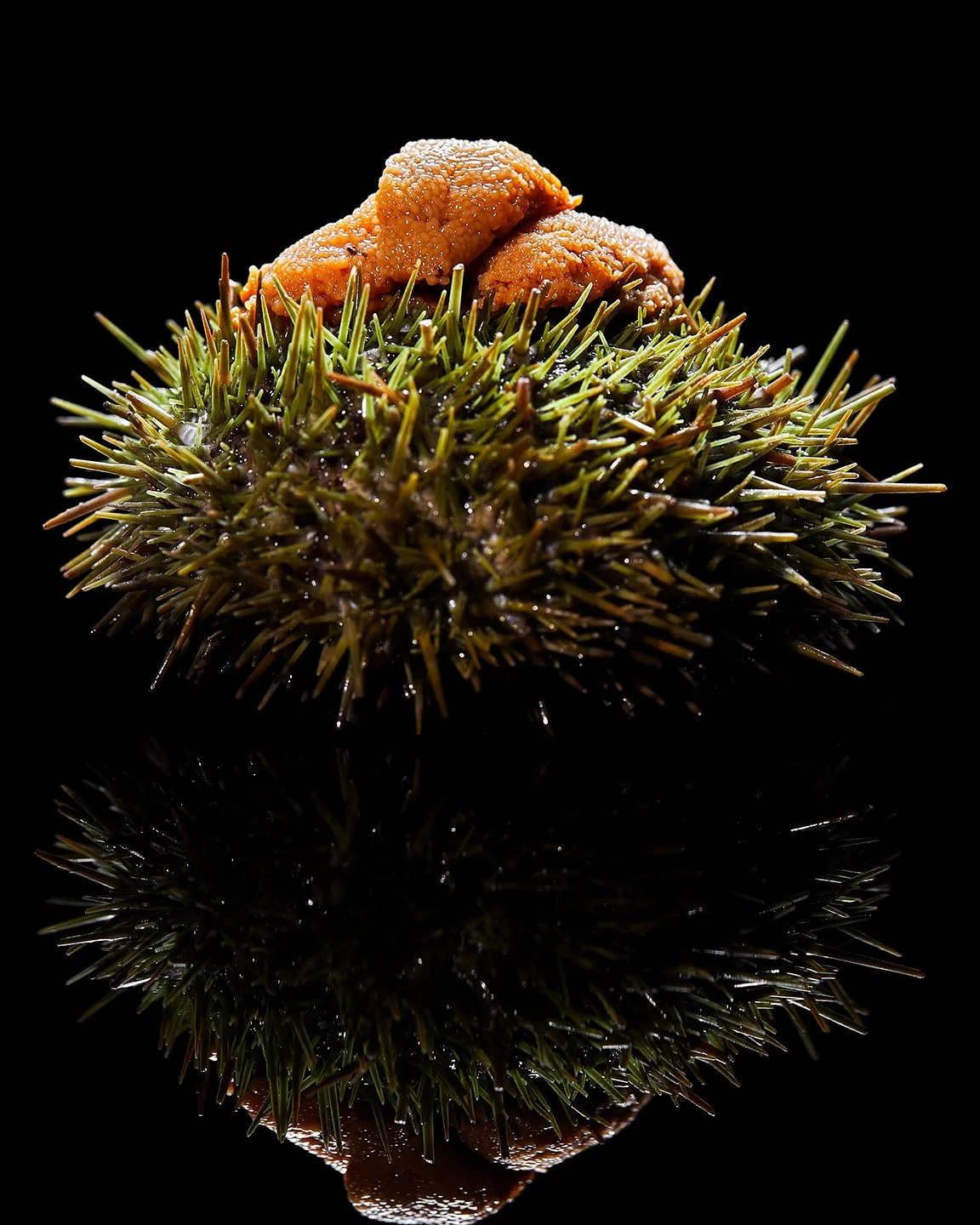AsianCuisine_SeaUrchinUni_02_January_2022.jpg.jpg.jpg