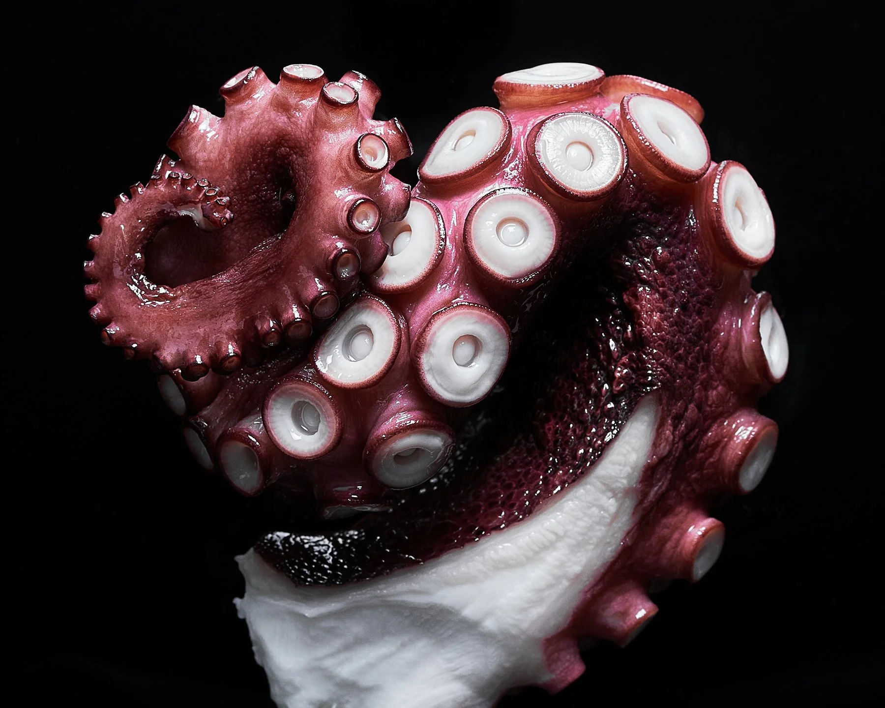 AsianCuisine_OctopusTentacle_January_2022.jpg.jpg