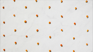GoDaddy_Popcorn_March_2021_02_AdobeExpress.gif