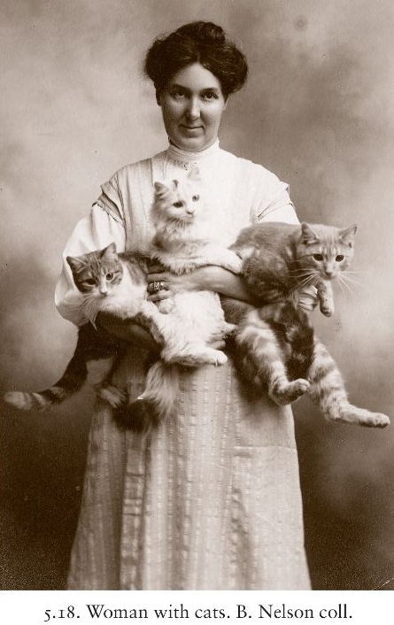 image via The Photographed Cat available on Amazon.com