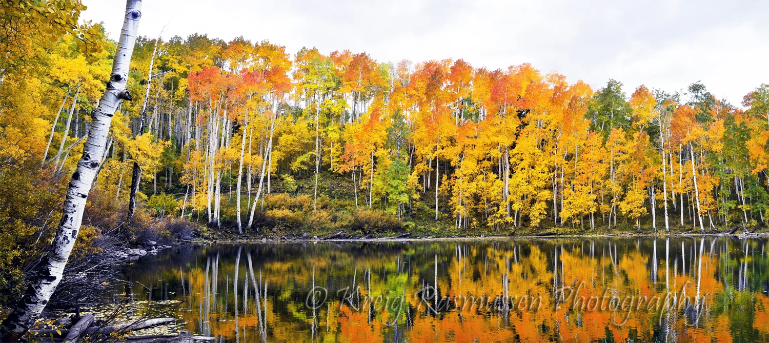 Cold Springs Reflection 2