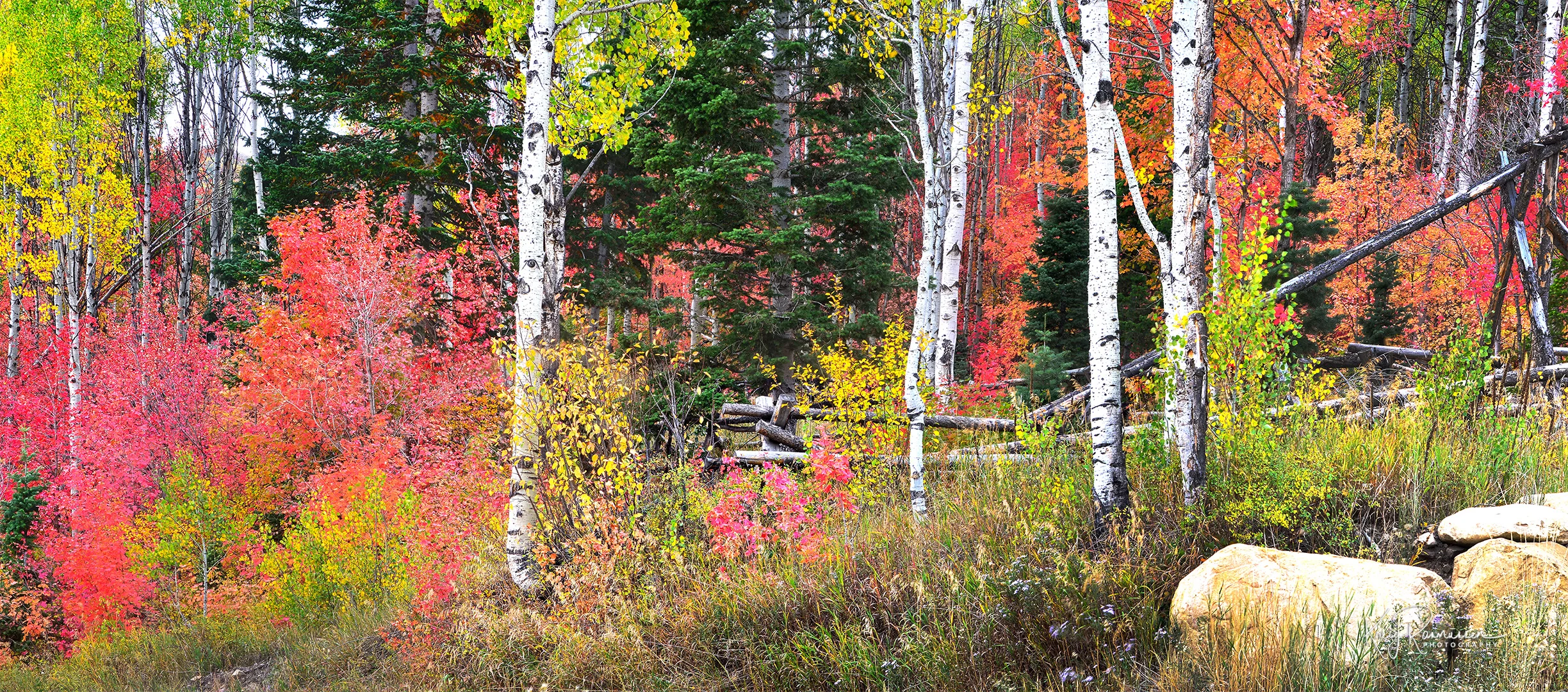 Final Little Heaven Picture 24x54 better 3rds.jpg