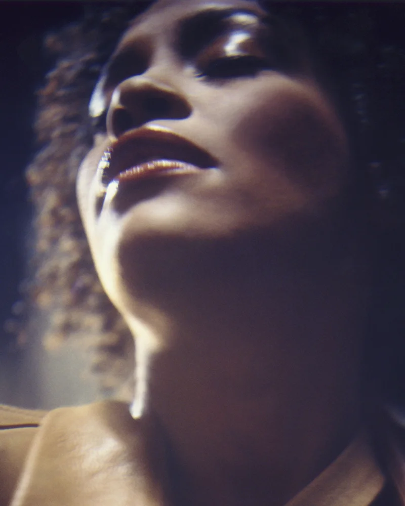Whitney+Houston+by+Patrik+Andersson.jpeg