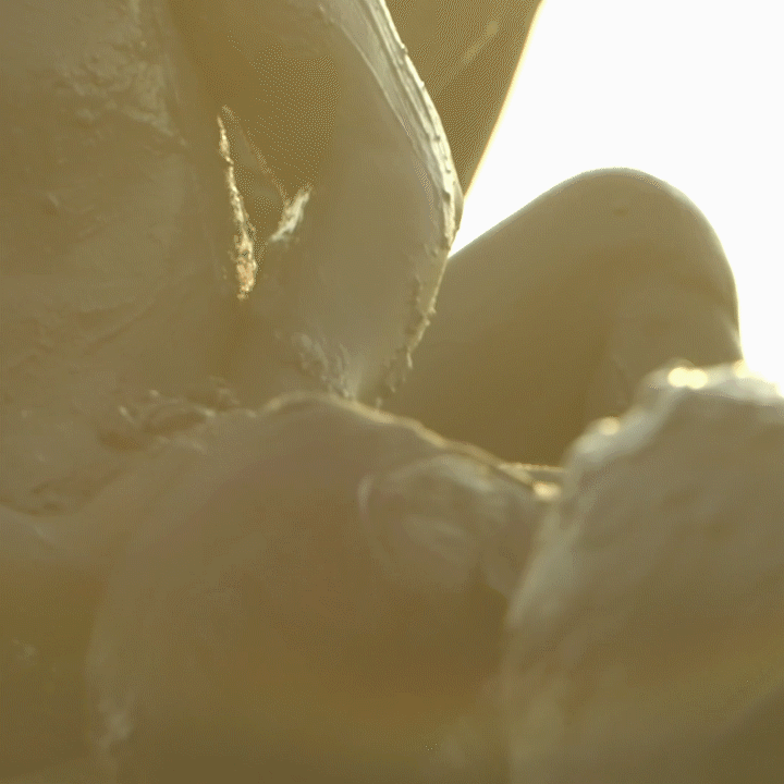 edit 09 no carrier.gif