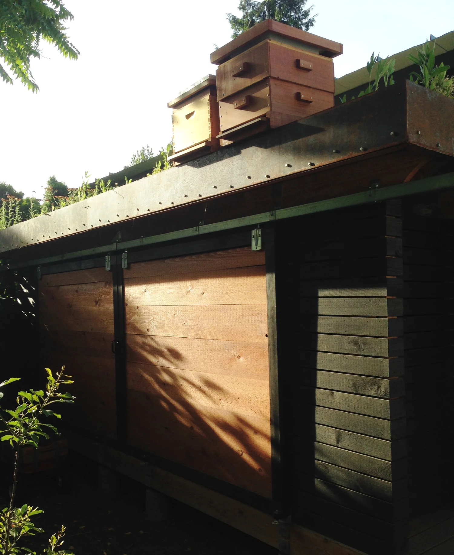 woodshed_beehives.jpg