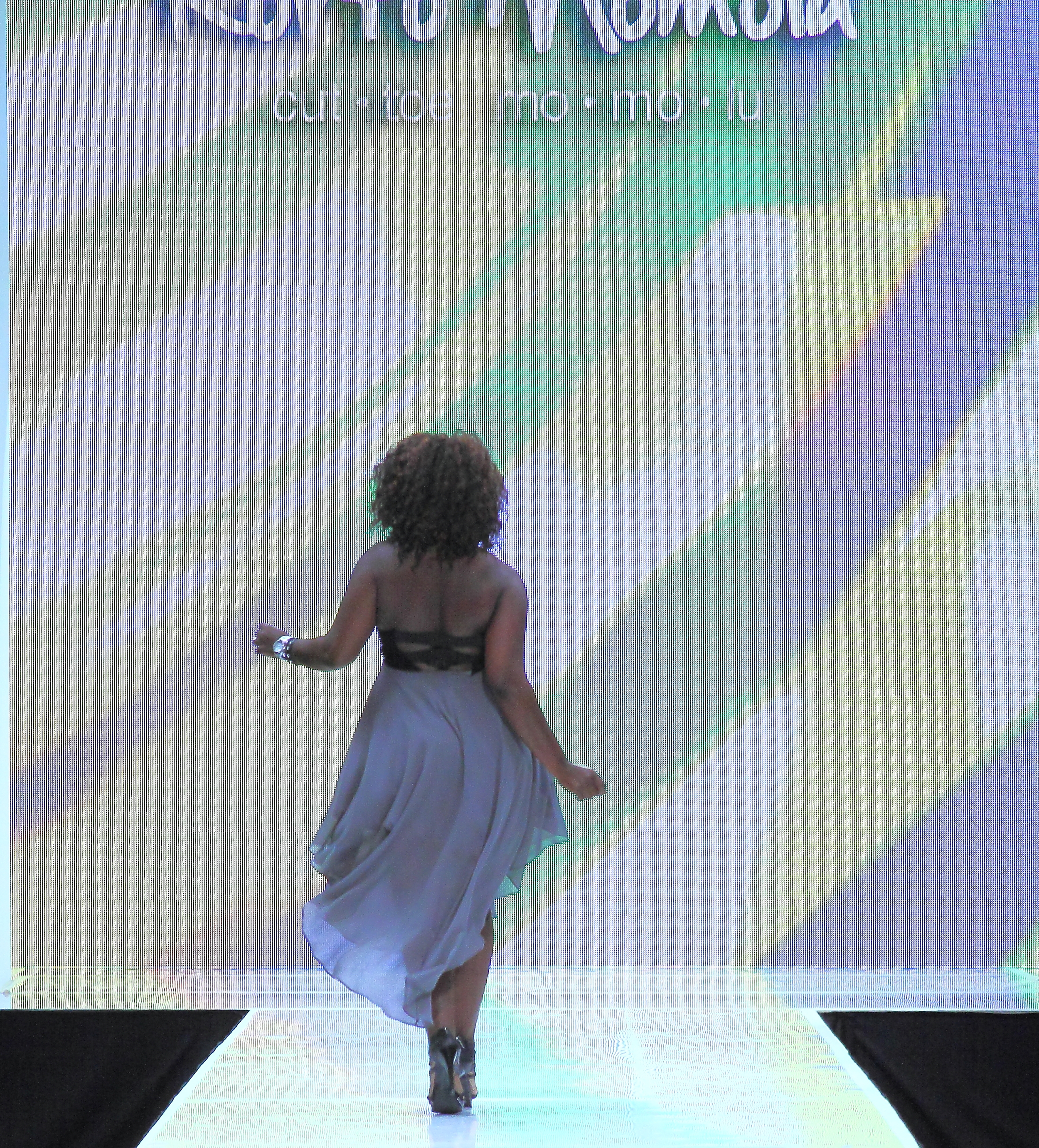 Media Credential2.JPG