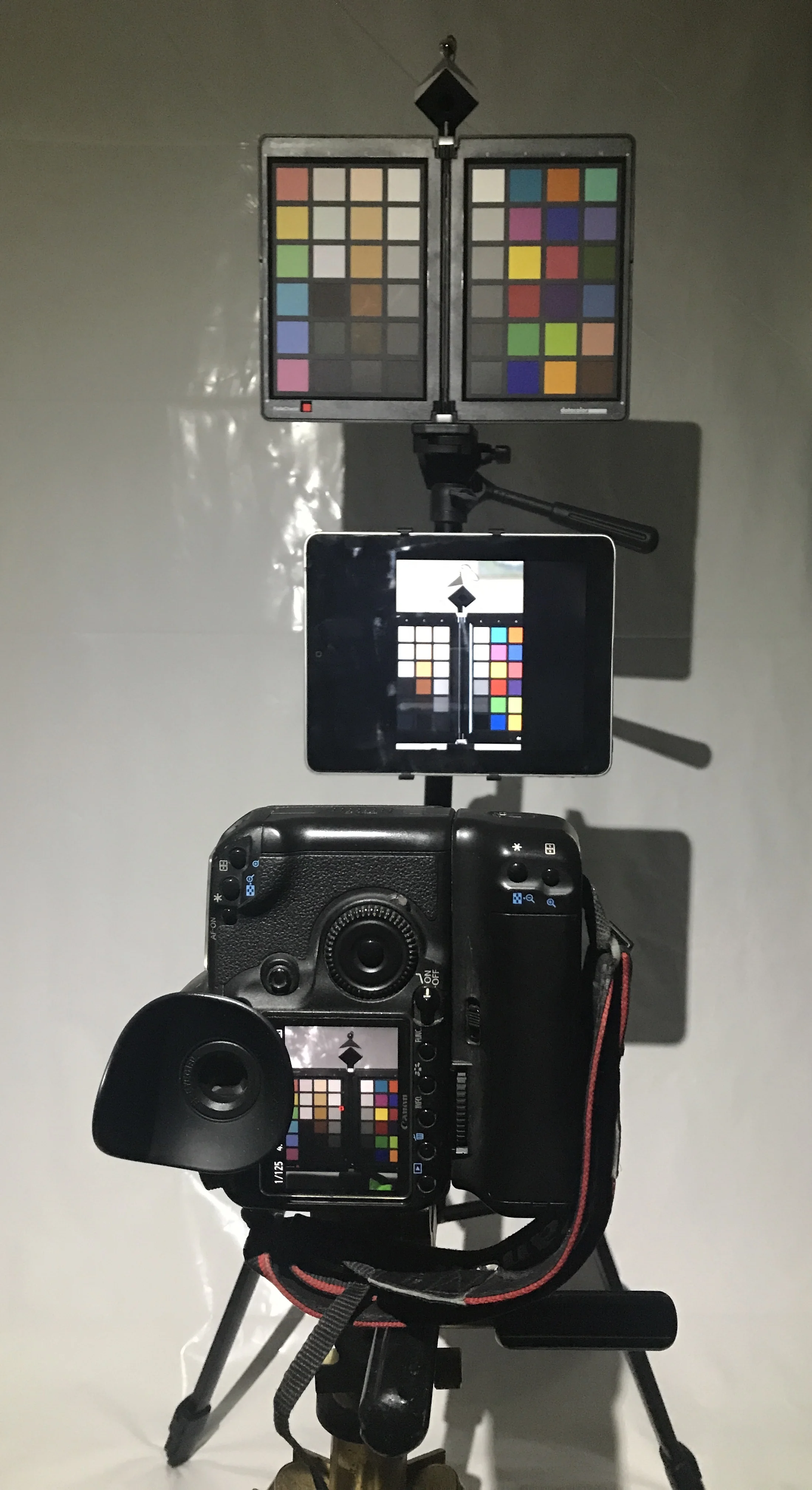 CC1F9486-C4D5-4B8C-B600-790297649B77