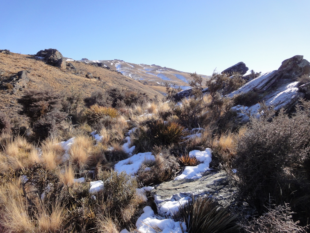  The Pisa Range above the house, beyond the 900 m contour 