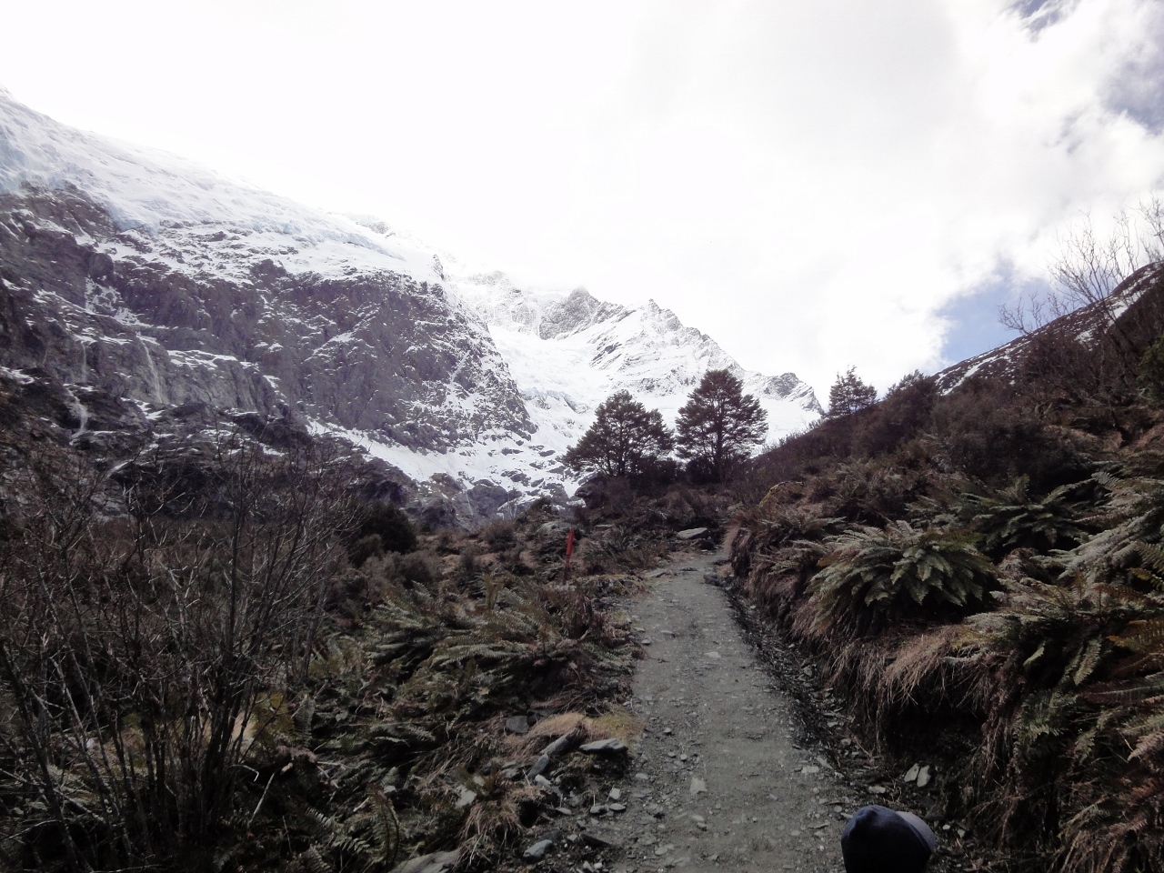  Near Rob Roy glacier 