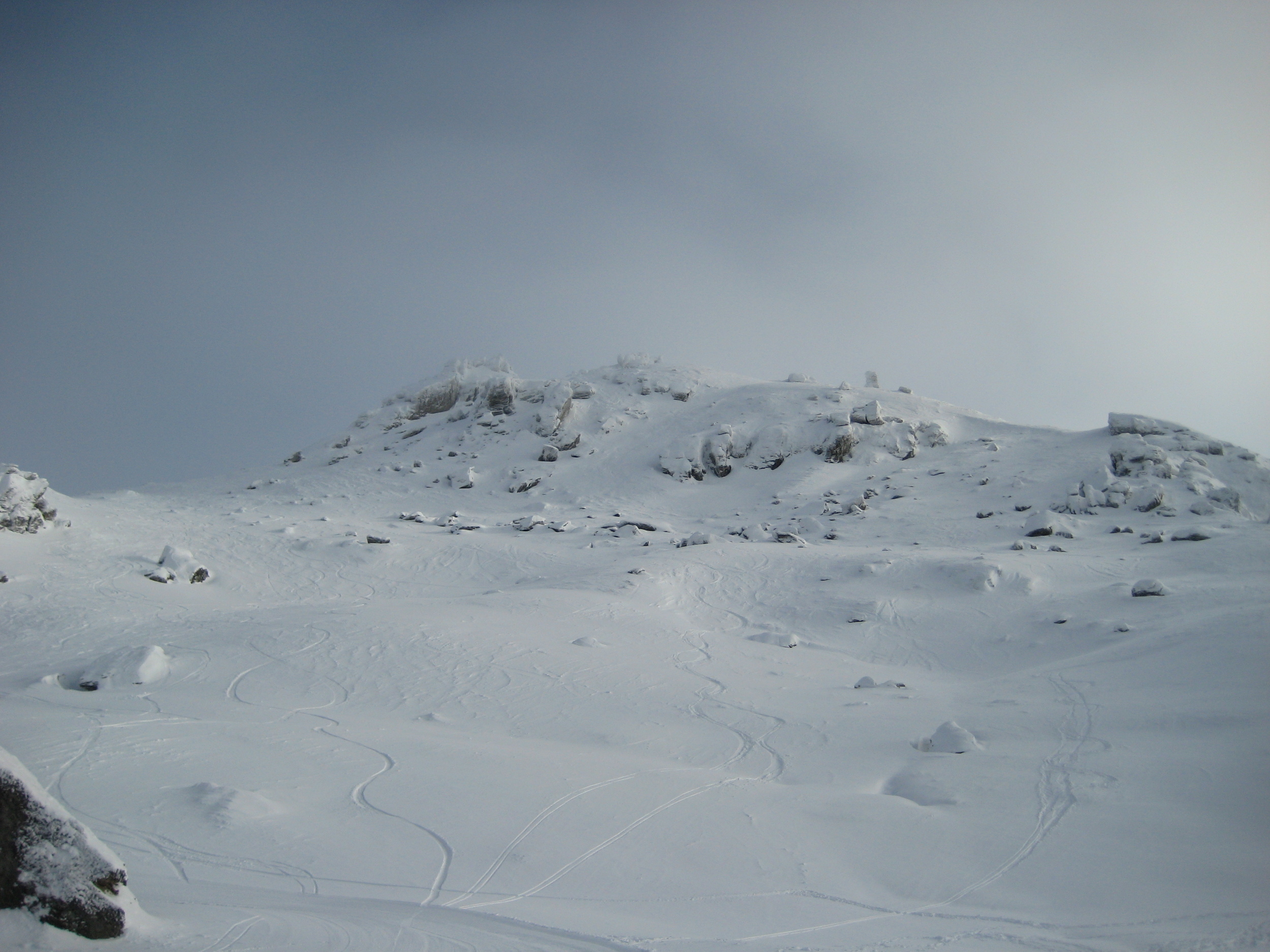  Cardrona ski resort, the Tulips 