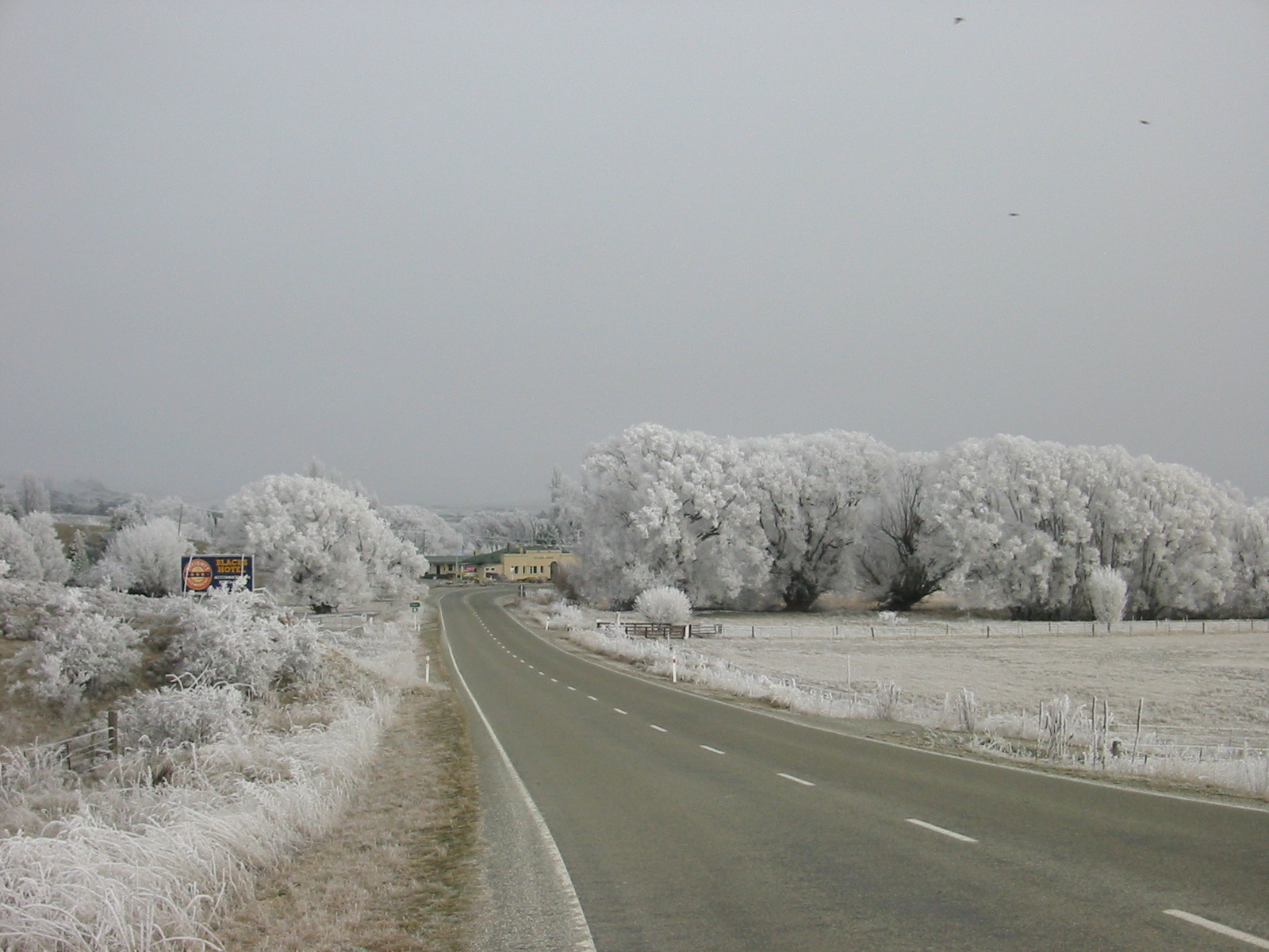  Hoar frost in the Ida Valley 
