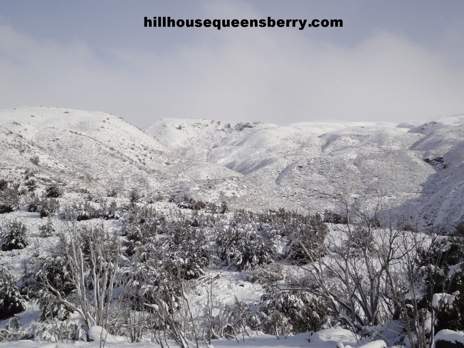  View West from dining room 