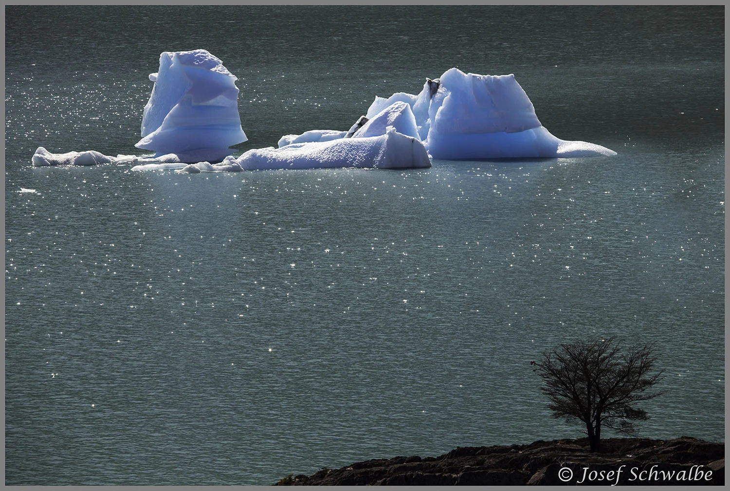 Iceberg and Bush