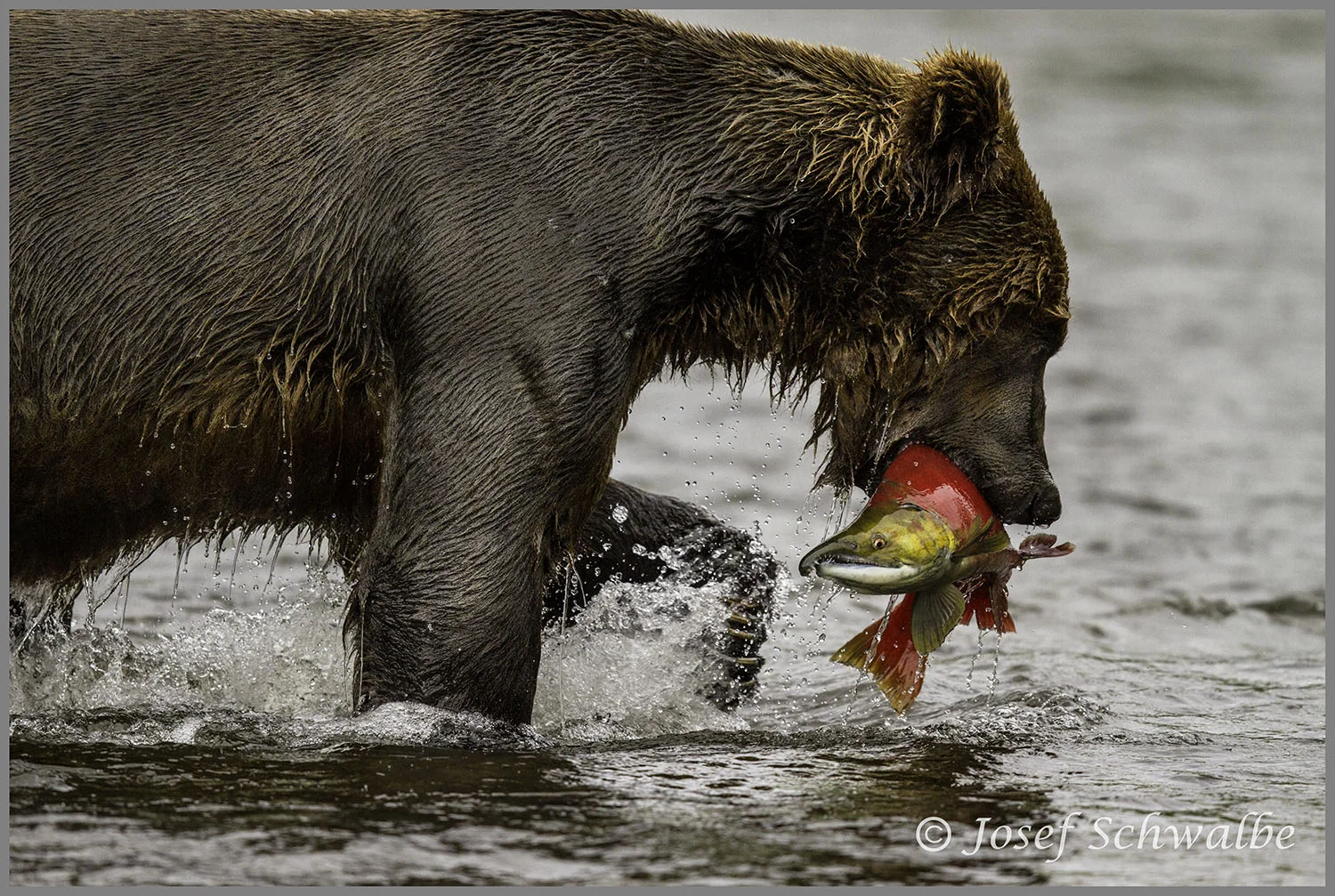 Lunch is Served