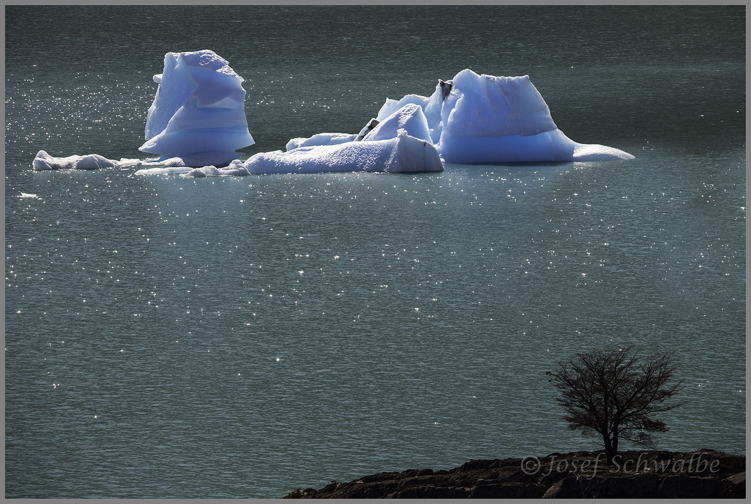 IcebergAndBush(HomePage).jpg