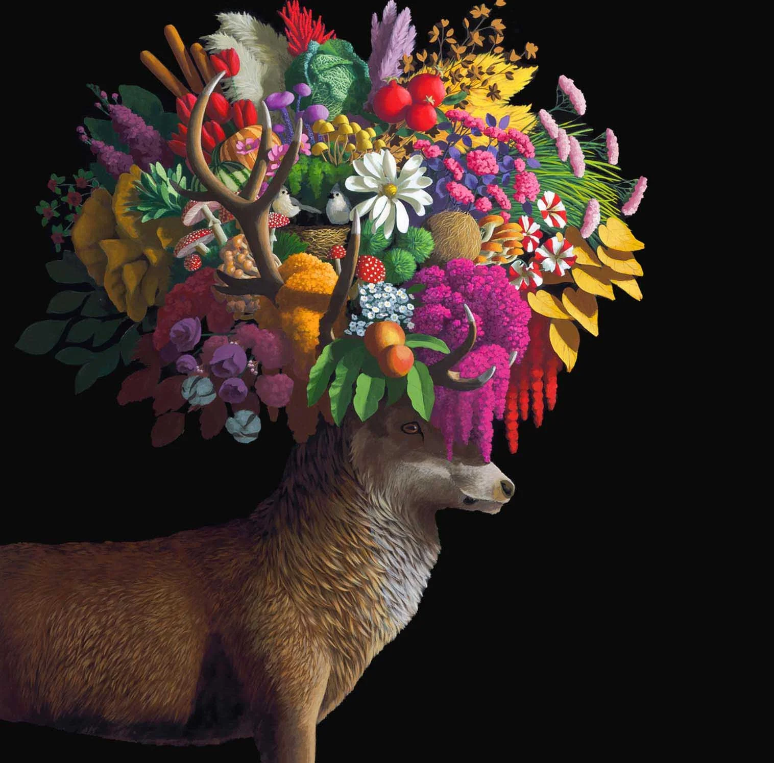 Stag_for_web.jpg