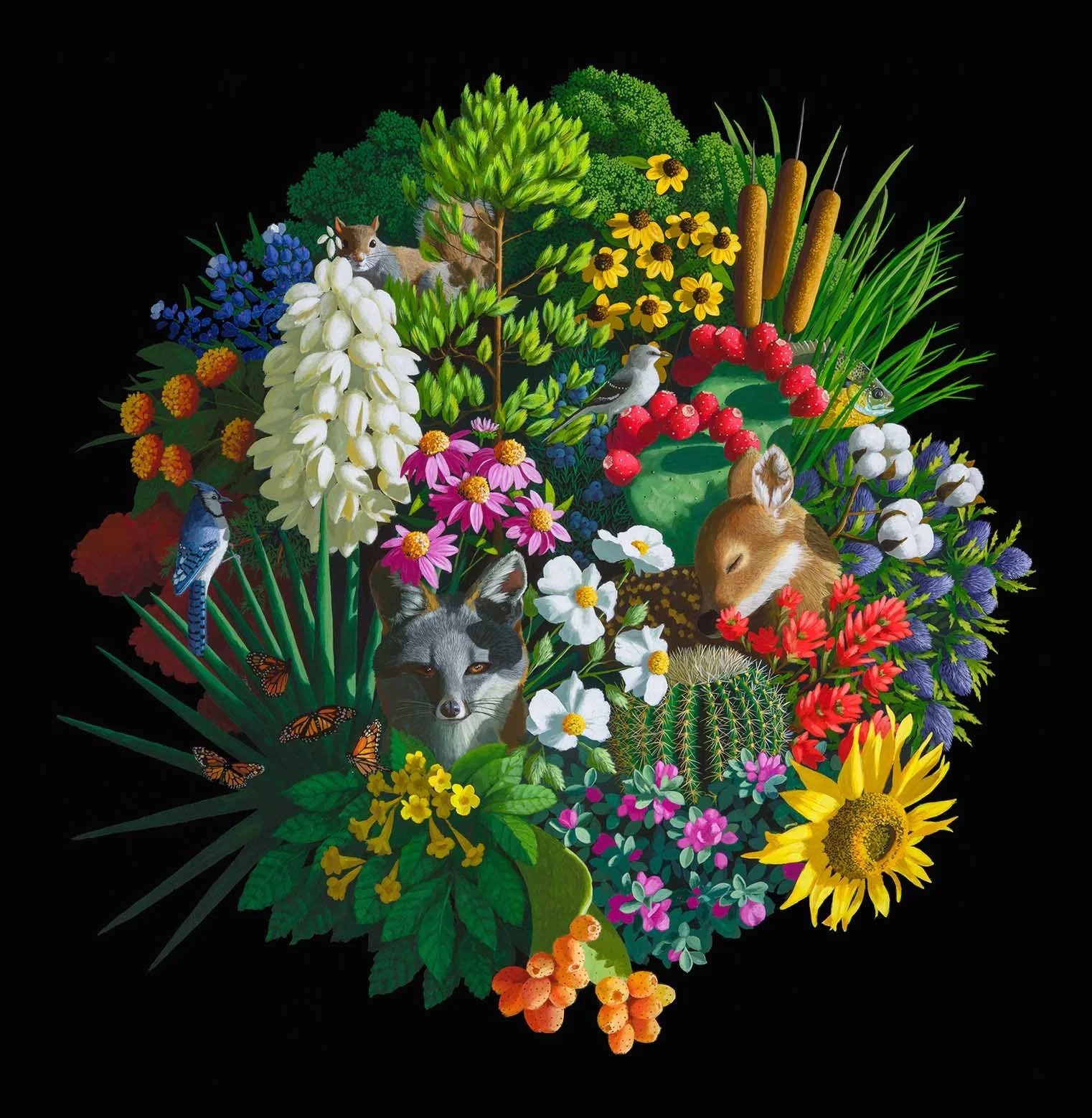 Flora_Fauna_for_web.jpg
