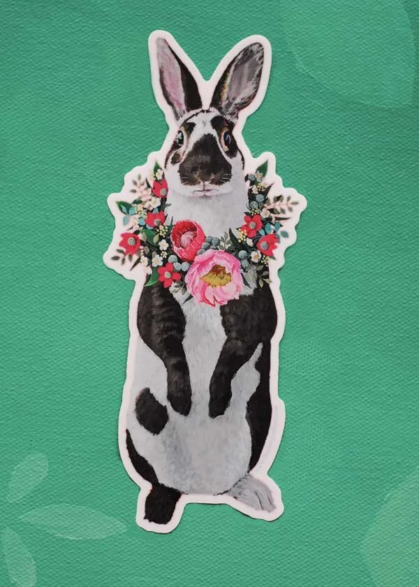 DSC_0510_bunny-1-2-1_web.jpg