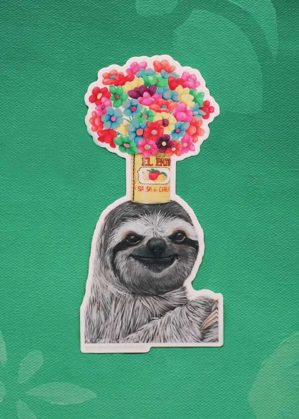DSC_0526_sloth-3-2-3_web.jpg
