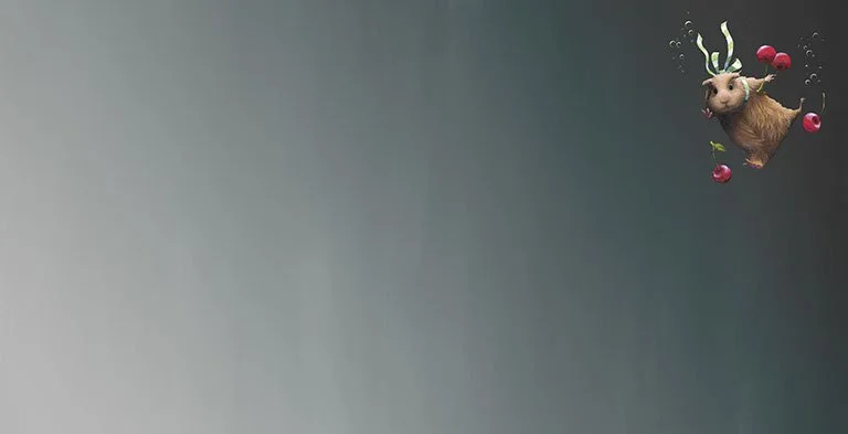 PlatyInside.jpg