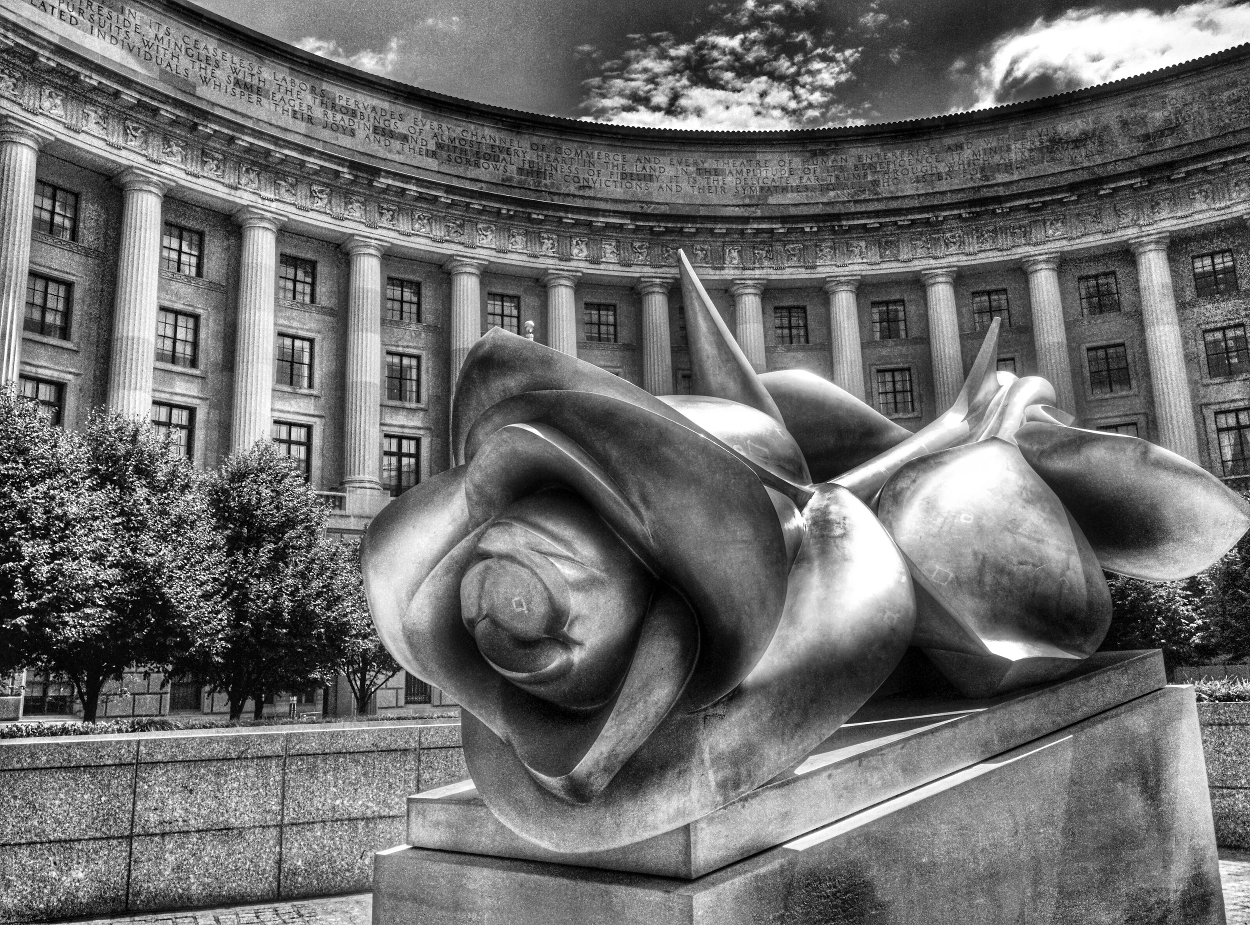 The Steel Rose