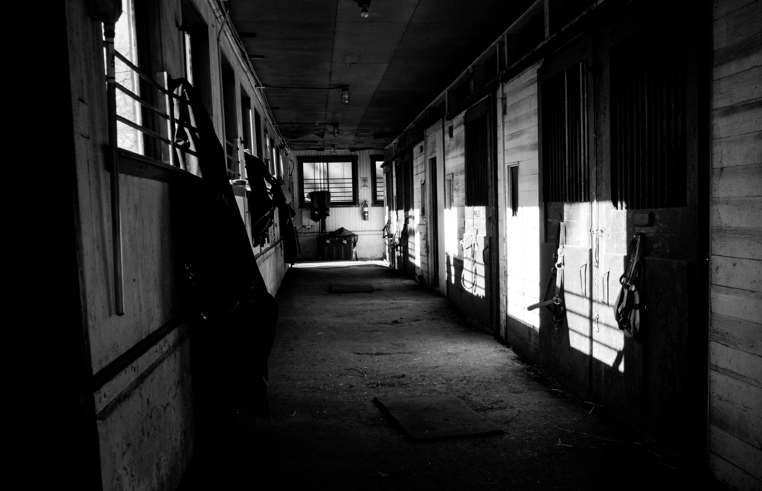 Late Afternoon At The Stables